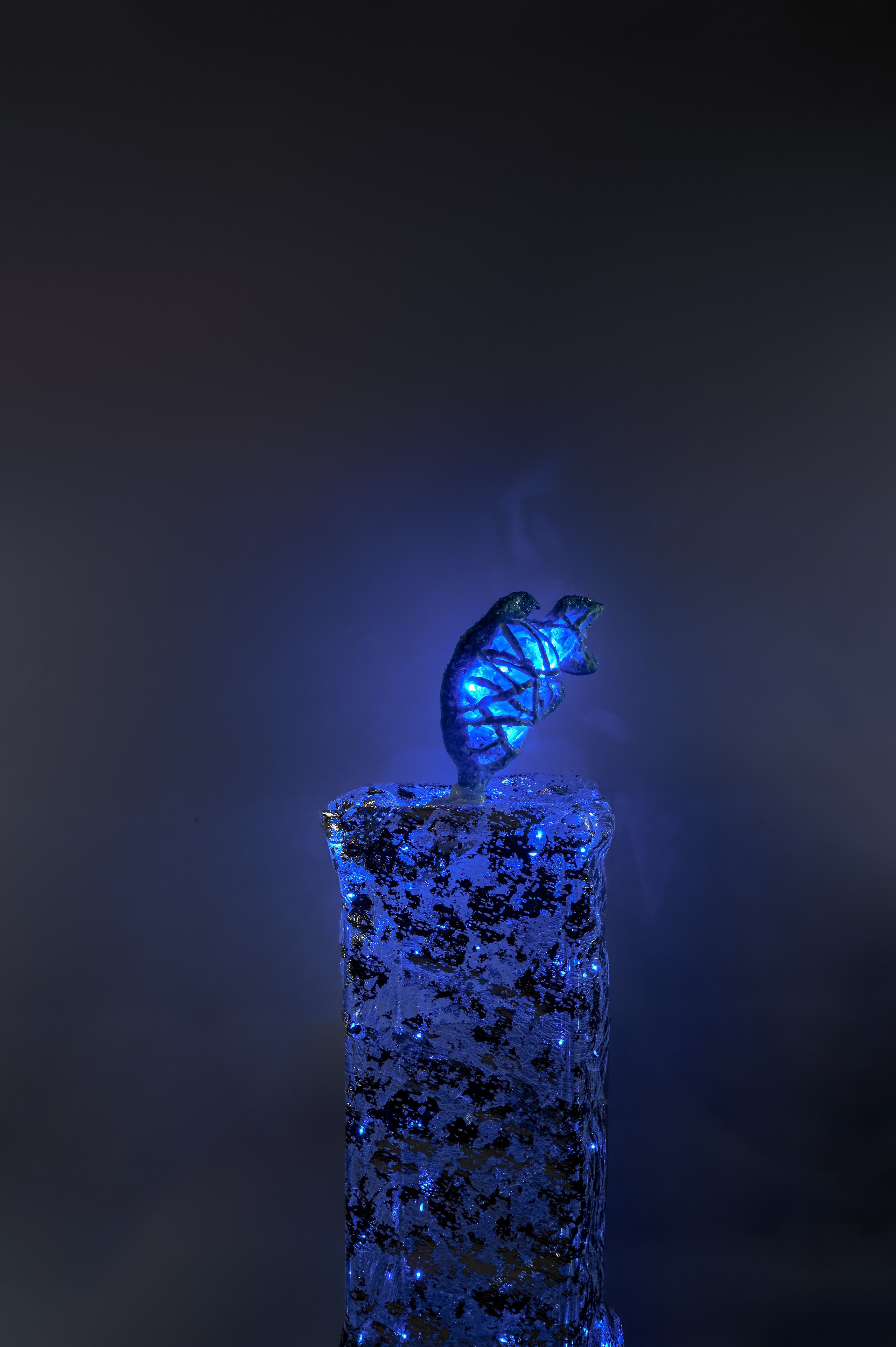 Проект «Призраки» 2024 - 2025гг.  Китайский речной дельфин - 2017г. размер : стойка 60 см, фигура 25 см на 20 см. Пластик, люминесцентная акриловая краска, полиэтилен, стеклянная крошка, эпоксидная смола. В последние несколько десятилетий тема загрязнения окружающей среды и изменения климата получила широкую огласку. И тревога по поводу вымирания биологических видов не является надуманной.Но человек уже давно привык к таким новостям.Поэтому в своем проекте я не буду углубляться в детали этой проблемы. Моя цель – показать исчезнувшие виды животных, которые мы потеряли в последнее время. Это «призраки» из пластика и полиэтилена, хотя не так давно они были сильными, дикими и свободными животными. К каждой работе дана подпись с указанием вида животного и официального года его исчезновения.