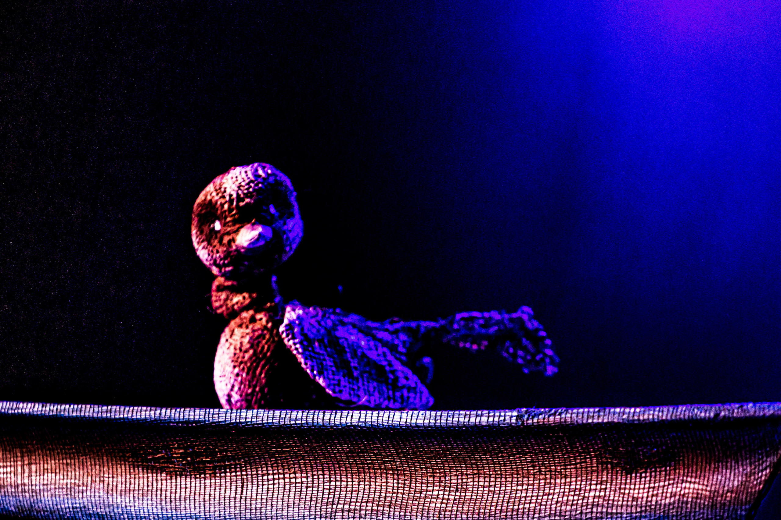 Тараканище спектакль кукольного театра Саквояж — премьера. Фотограф в Сочи Юрий Шептаев