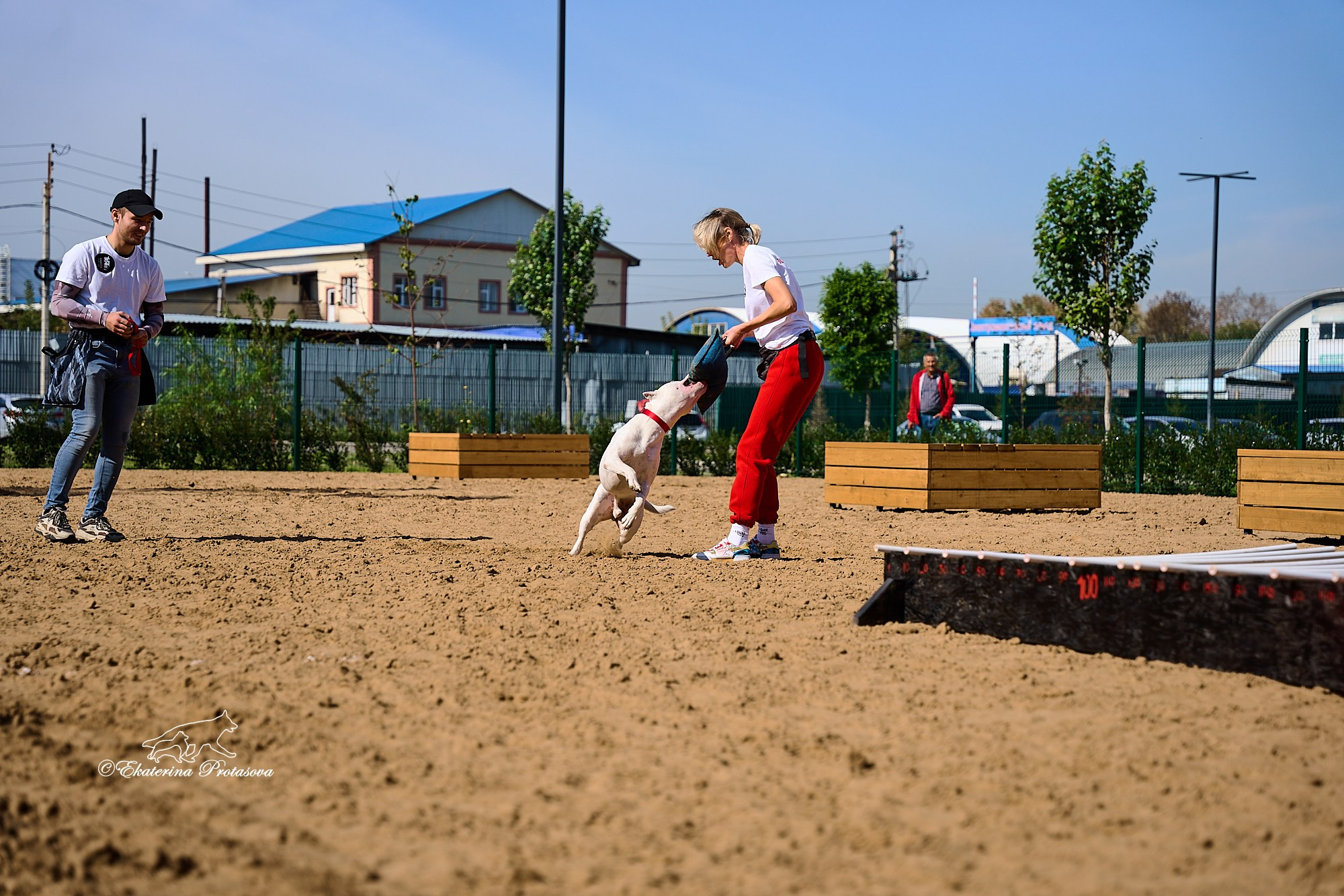Питстафф многоборье. Фотограф-анималист в Иркутске