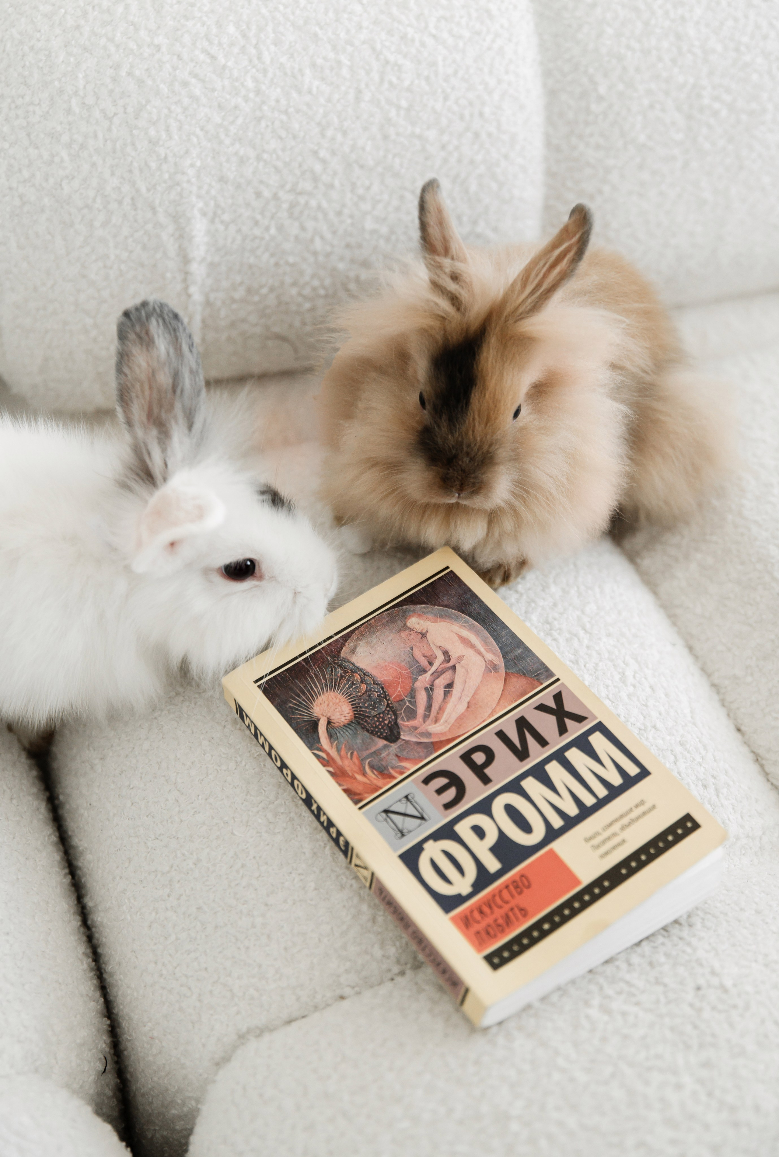 I&V. Фотограф Кирилл Верт