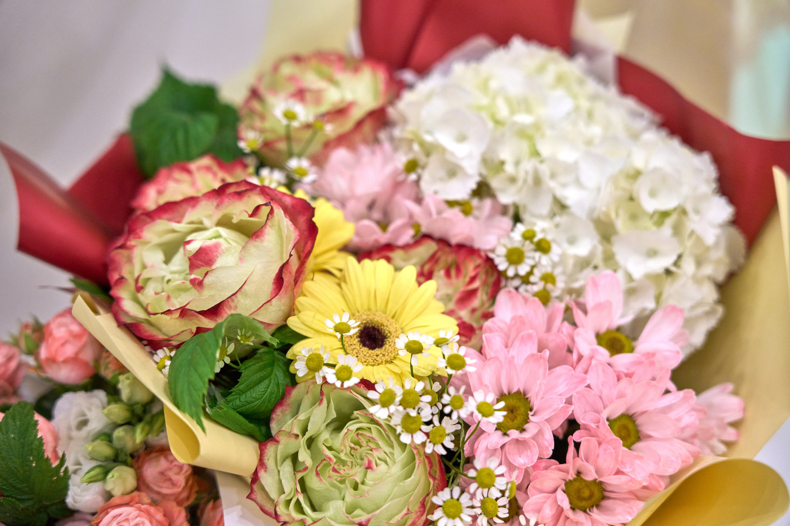 Свадебная съёмка. Фото и видеосъёмка в Ярославле | Грибов Медиа контент студия  — от 2500 ₽/час