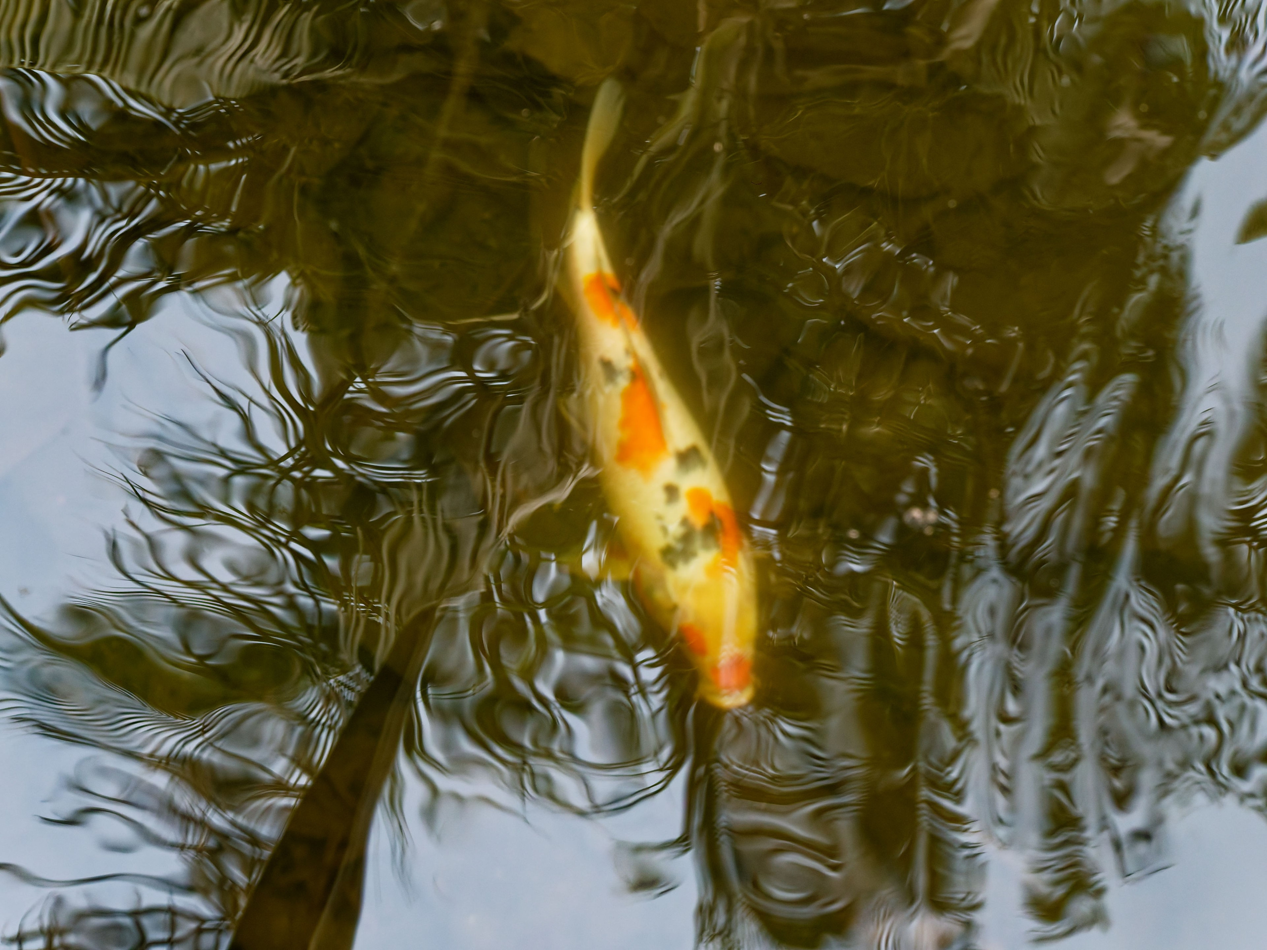 Хайнань 2026, отель «Stony Brook Villa Jianguo Resort Sanya 4*». Фотопрогулки по Миру