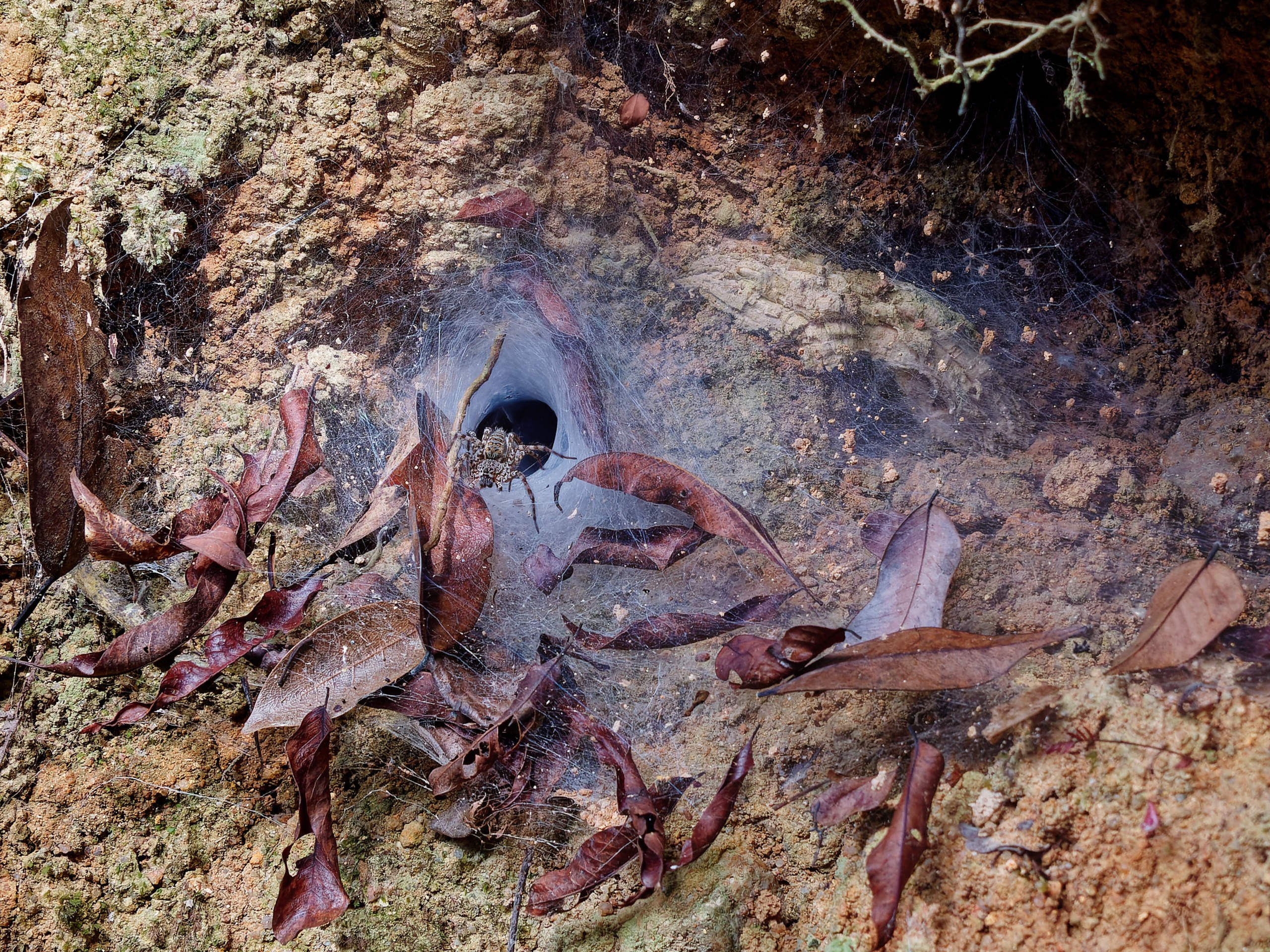 Нячанг 2025 (5). Избранные фотографии