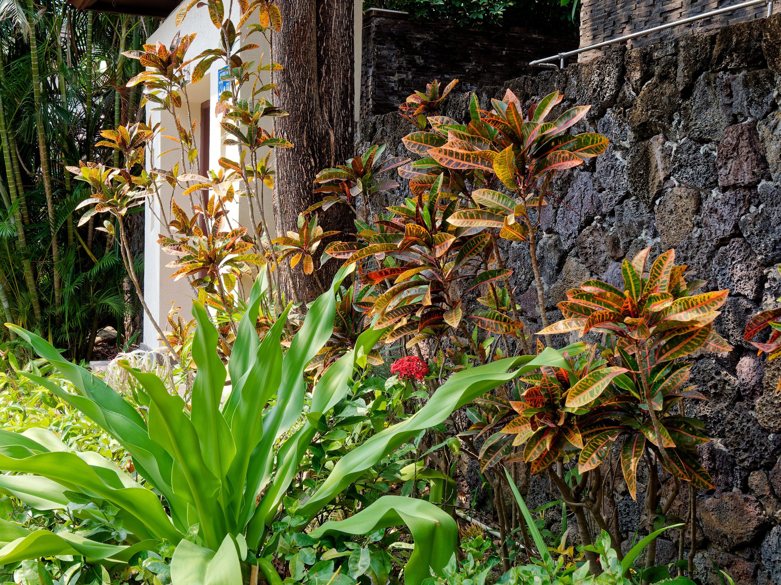 Хайнань 2026, отель «Stony Brook Villa Jianguo Resort Sanya 4*». Фотопрогулки по Миру