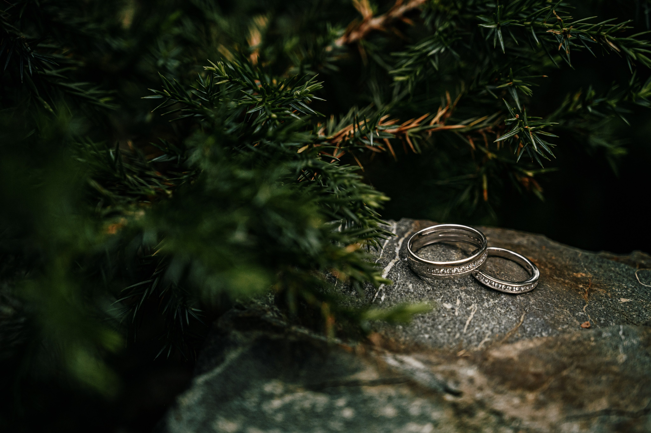 Ксения Виктор. Фотограф Владивосток. Игорь Кирсанов