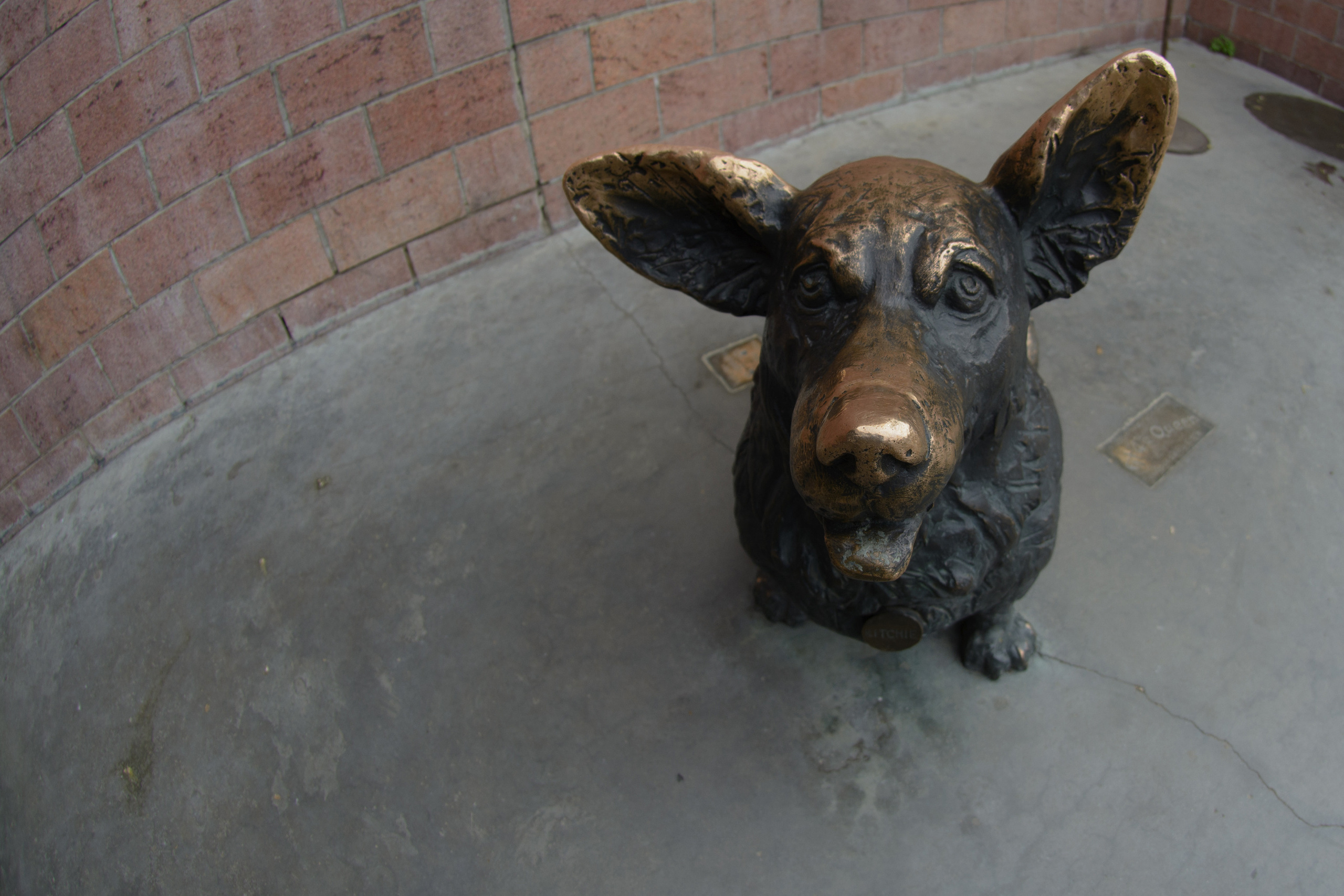 Свободный фотохудожник из Иркутска