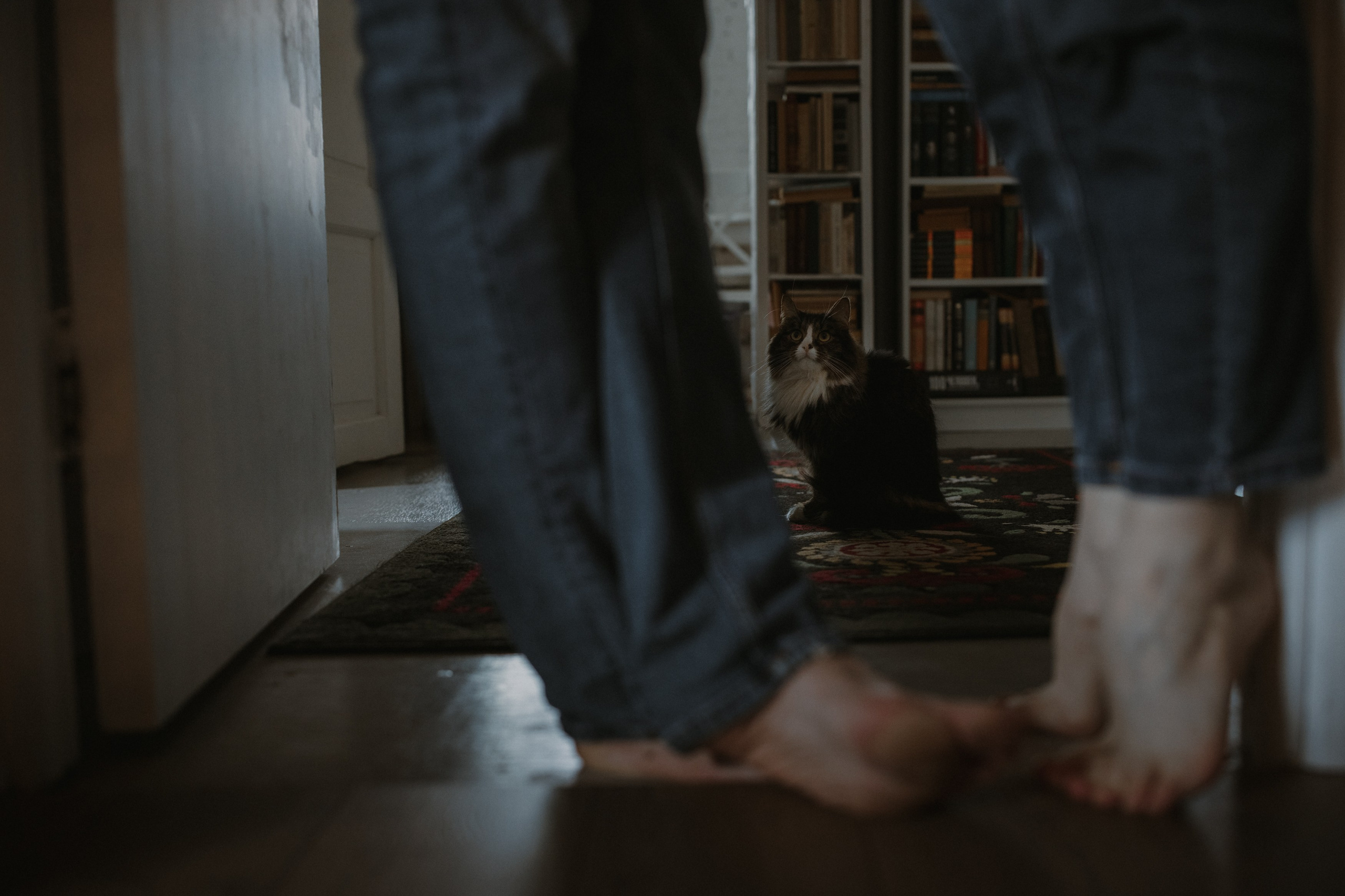 Артем и Анастасия. Свадебный фотограф в Ярославле Андрей Перегудов