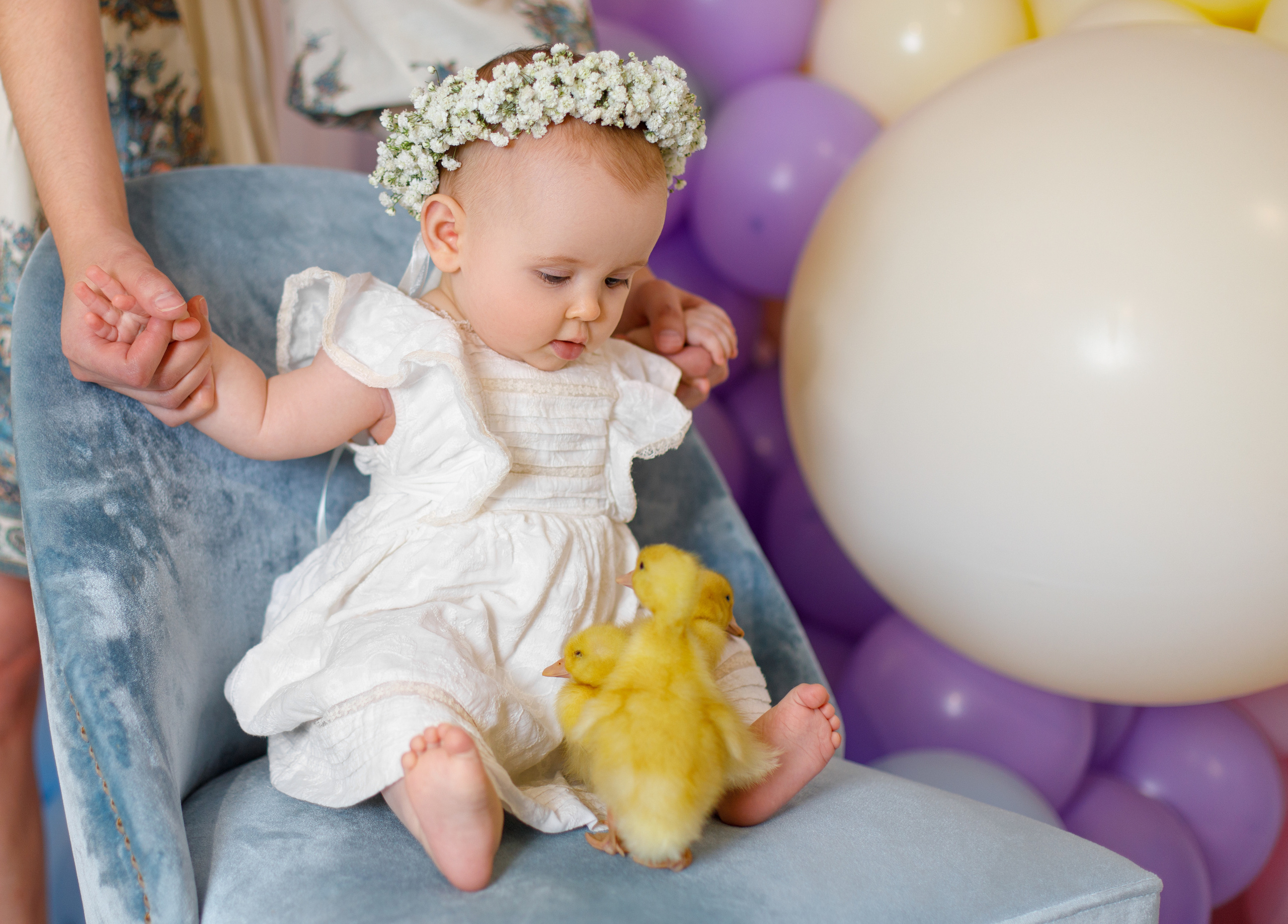 Мамино счастье…. Свадебный и семейный фотограф в Ставрополе Попова Дарья