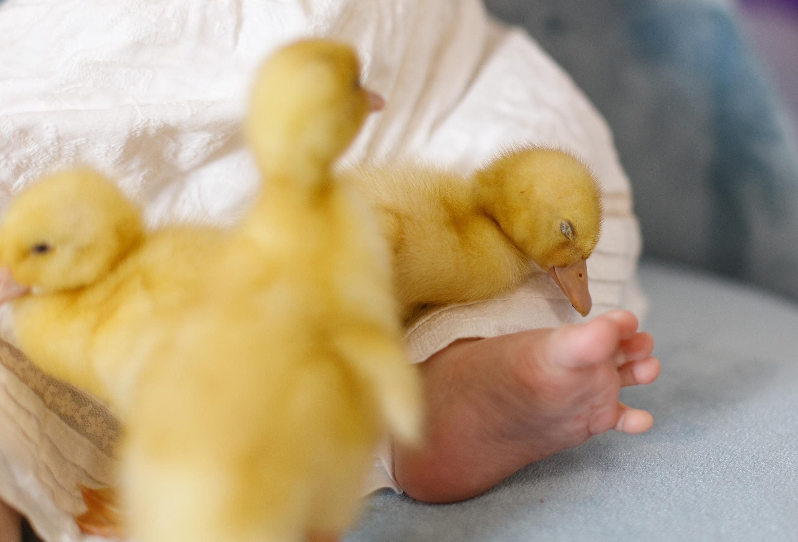 Мамино счастье…. Свадебный и семейный фотограф в Ставрополе Попова Дарья