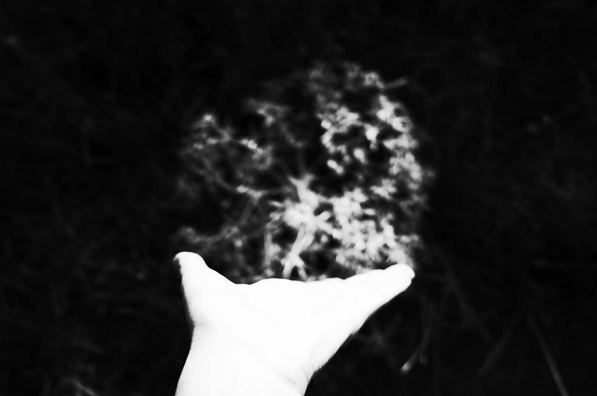 Черно-белая абстракция