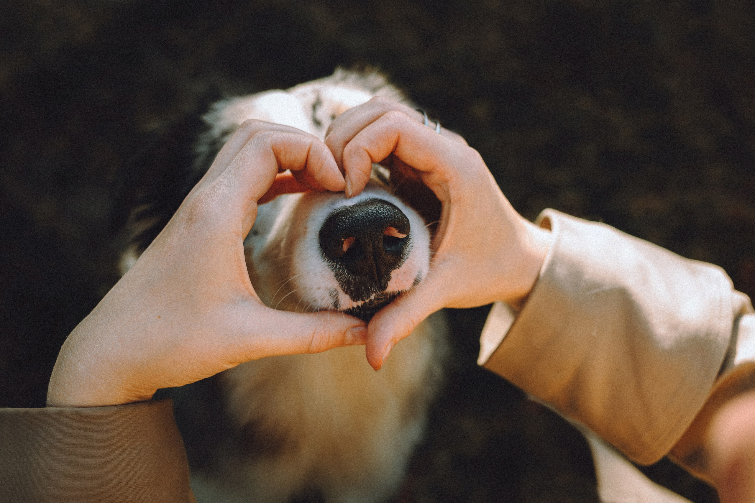 Саша, Рома и Один