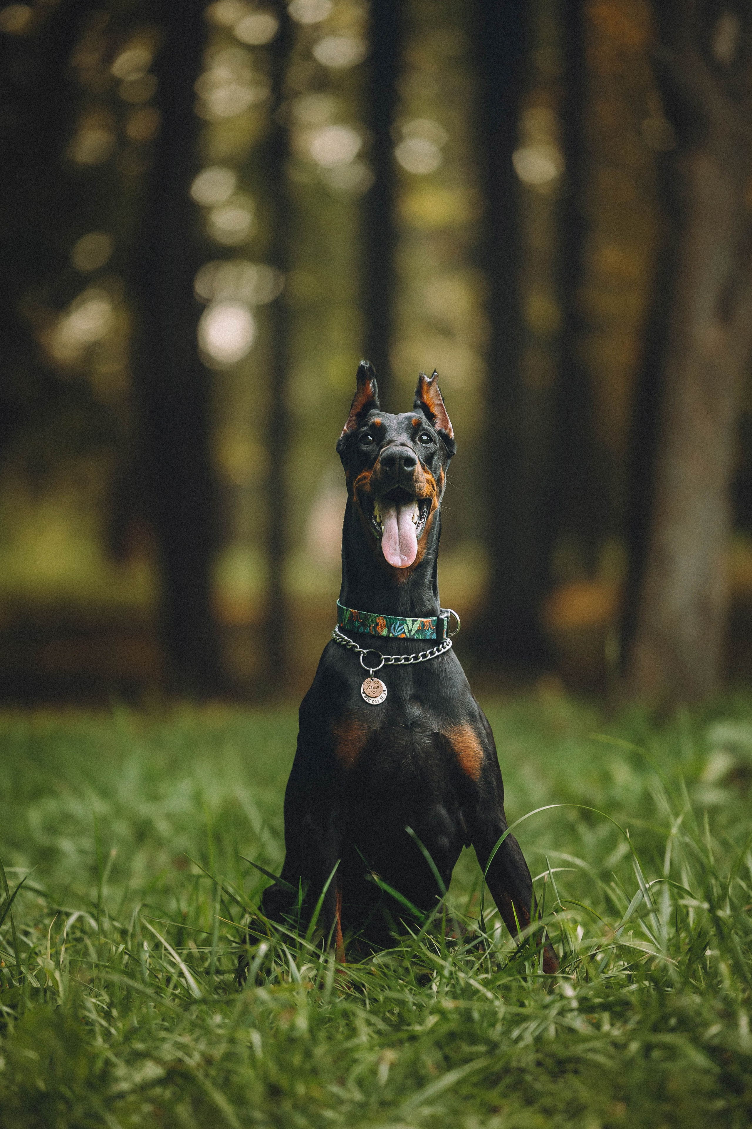 Паша и Хайди