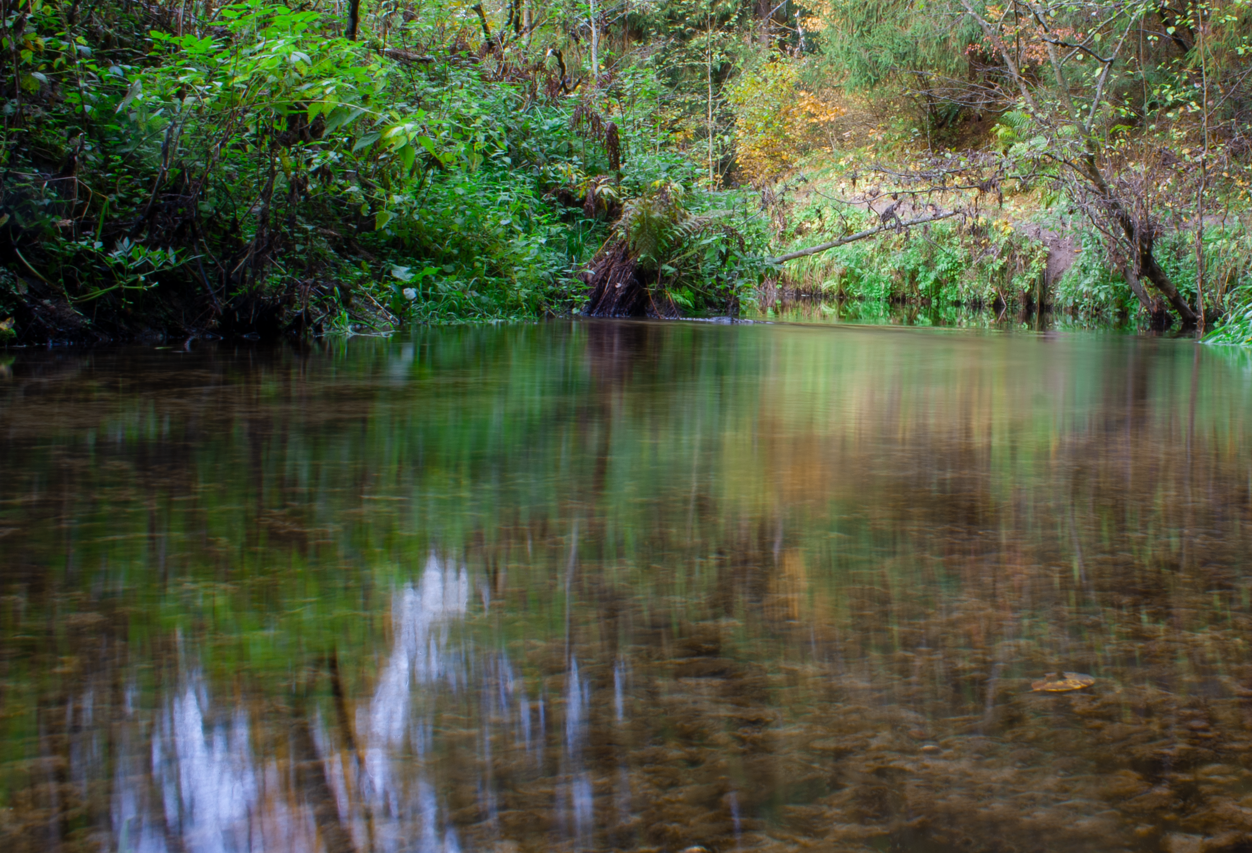 Лесная река. Фото Влад в походе