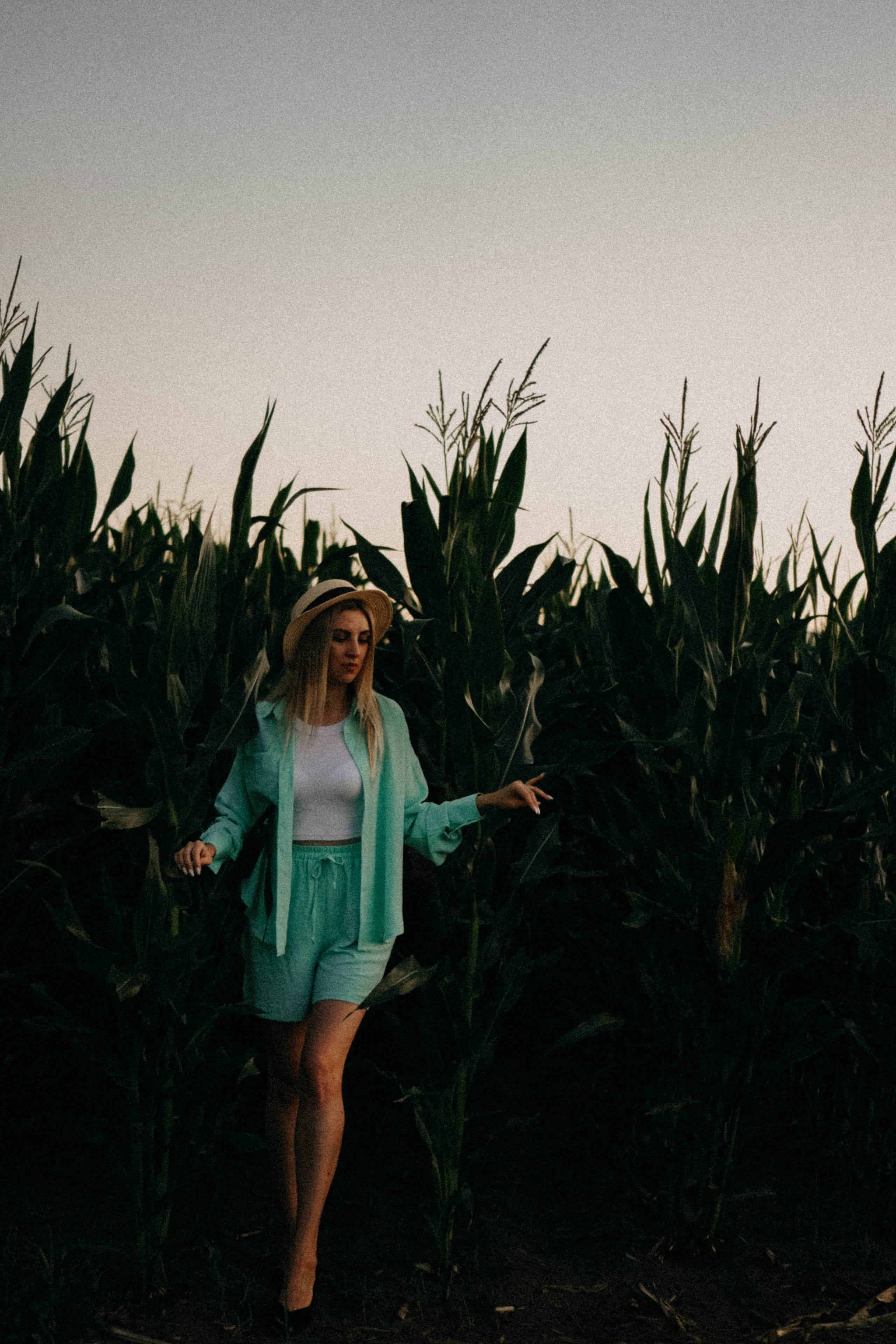 Летний вечер. Профессиональный фотограф, Санкт-Петербург — Виктория Богомолова