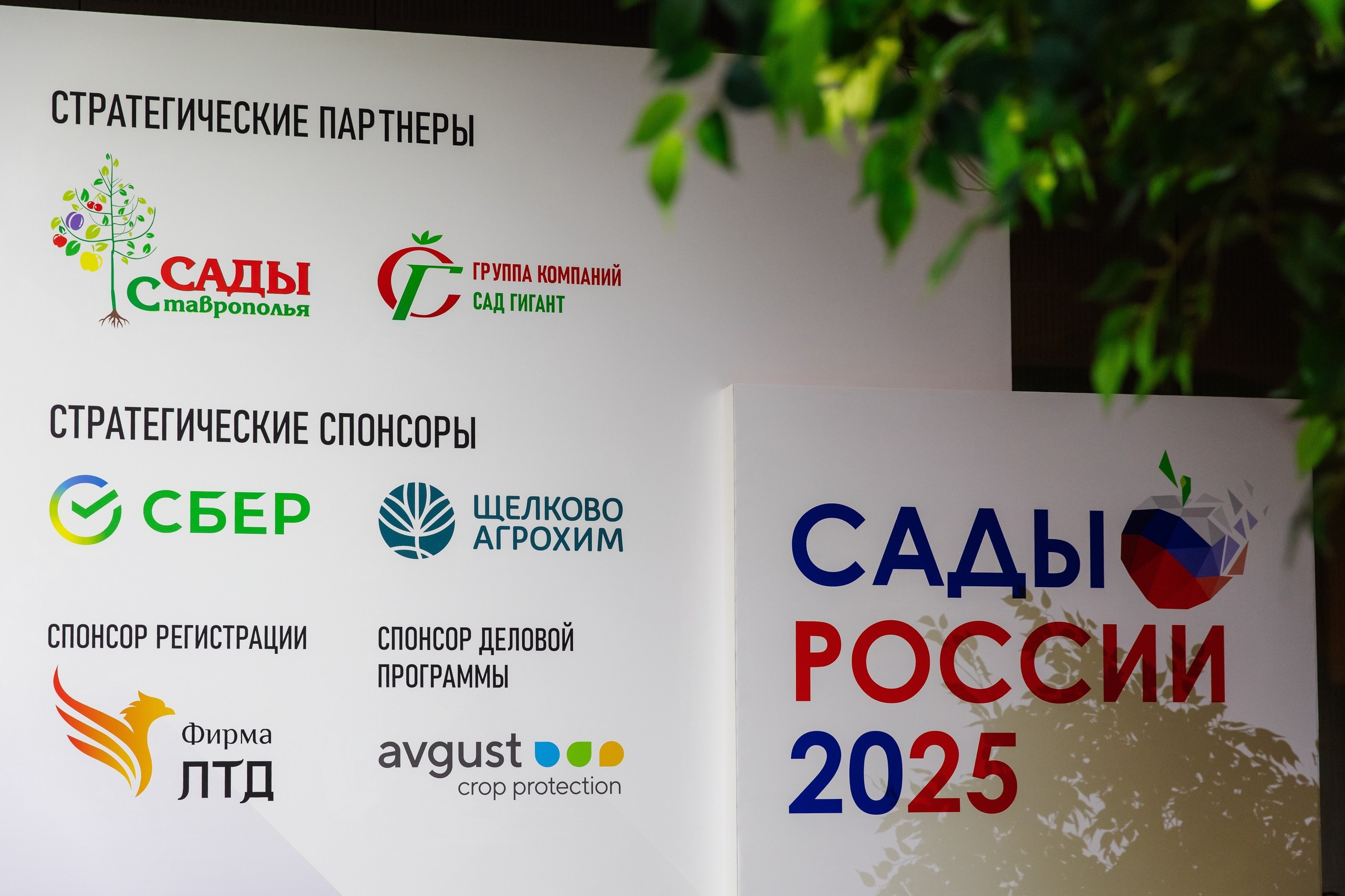 ЭКСПО. Фотограф Николай Петрушкин | Ставрополь, Москва