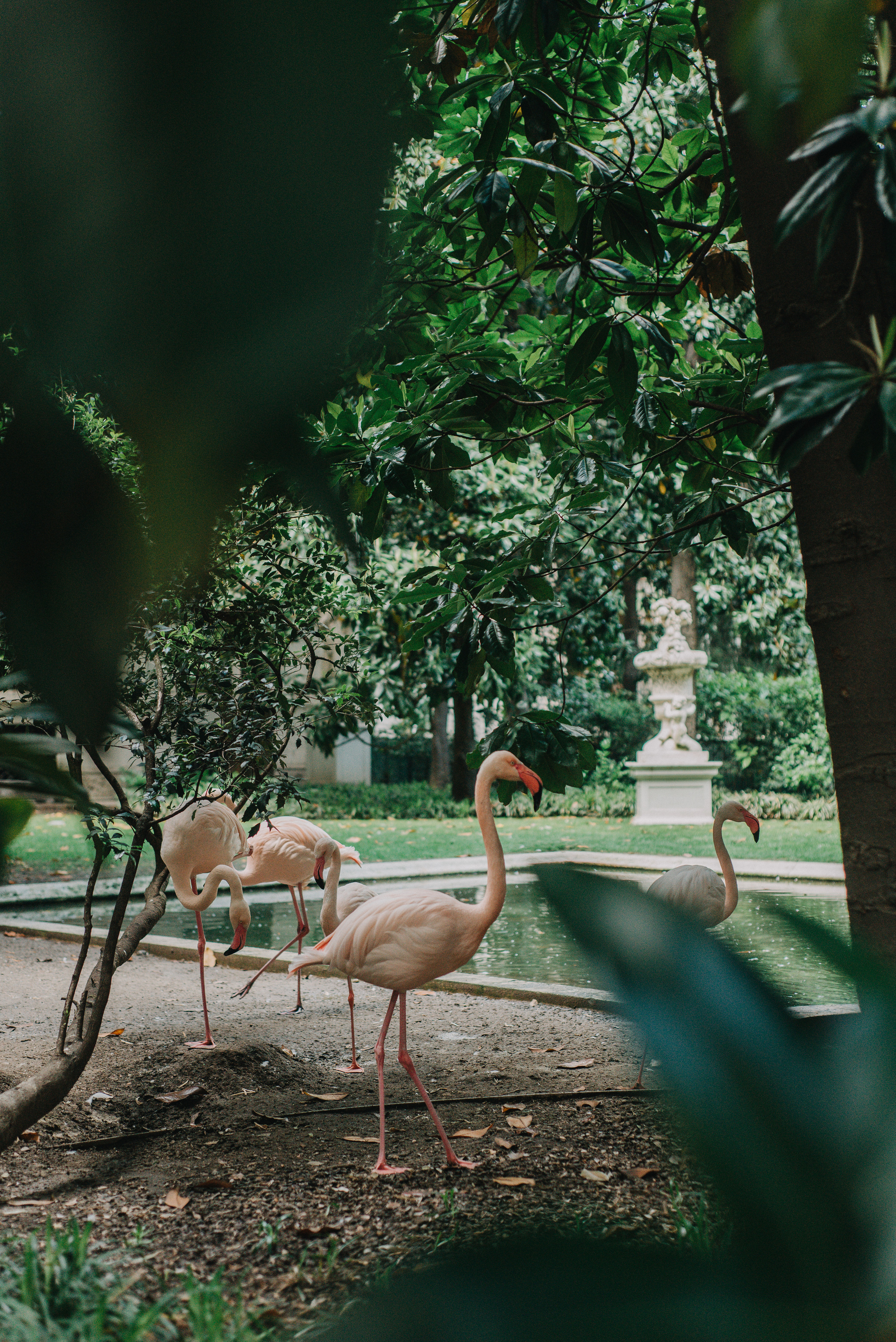 July in Milano. Photographer Vasilisa Gordeeva