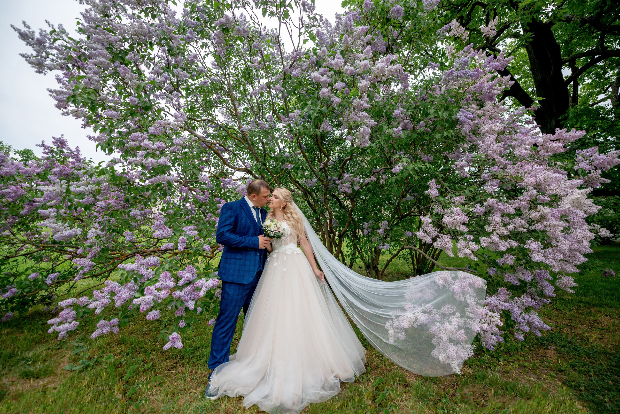 Евгения (фотосессия с малиновым chevrolet camaro, в сирени в Пушкине в Екатерининском парке). Портретный, семейный и свадебный фотограф в Санкт-Петербурге и в Пушкине Ширяев Денис