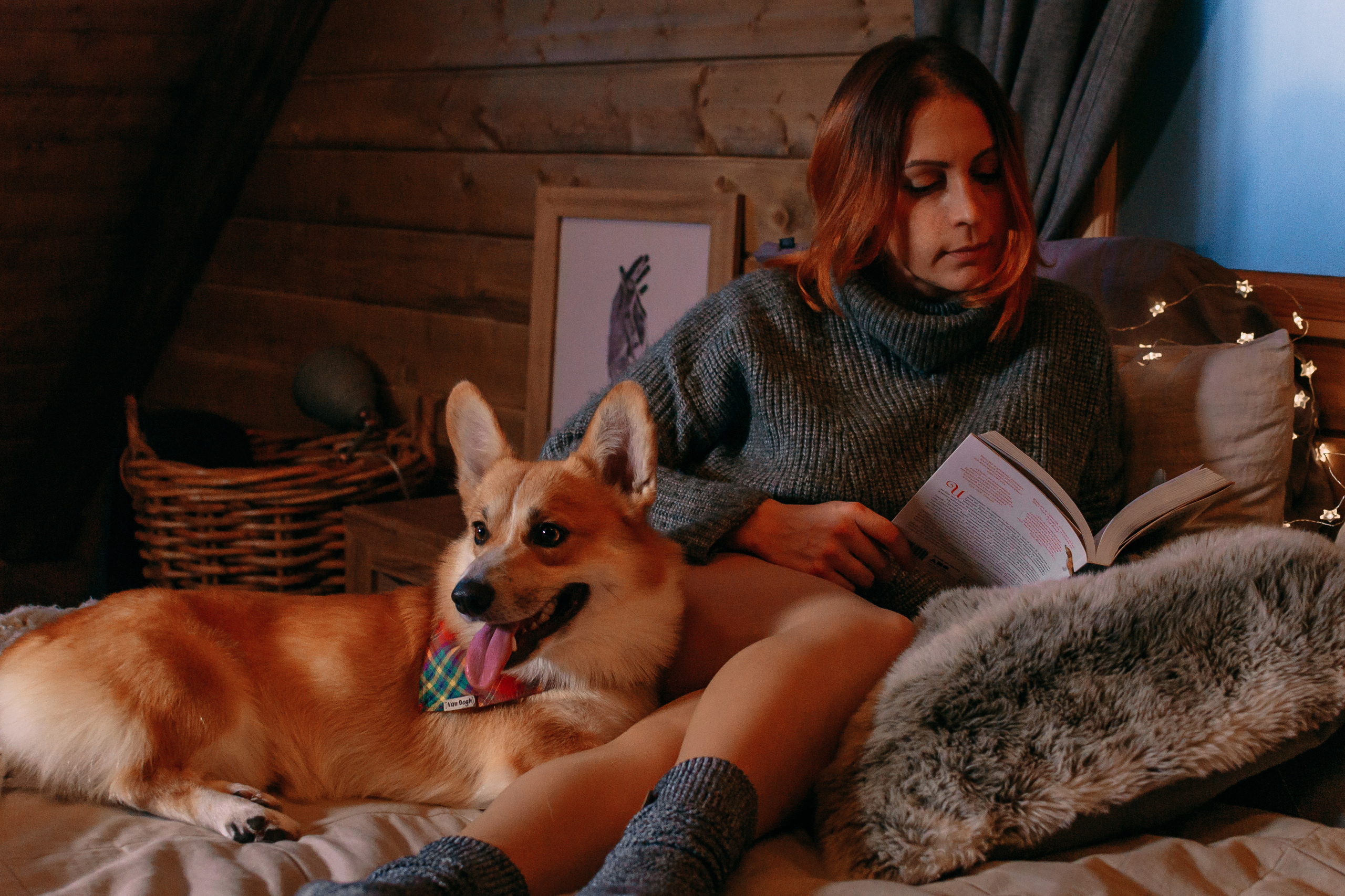 Happy New Year 2020. Свадебный и семейный фотограф в Москве Юлия Шикалова