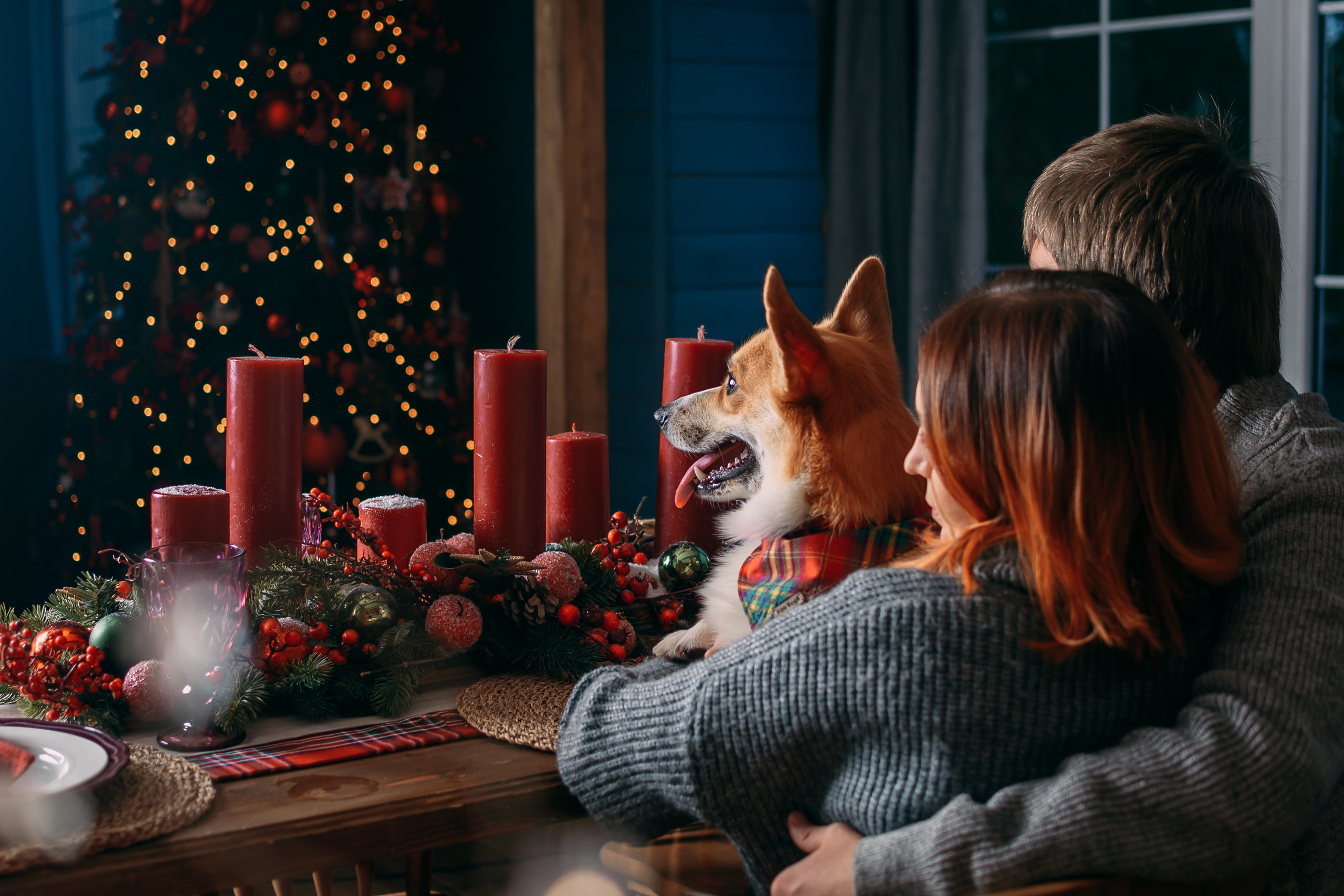 Happy New Year 2020. Свадебный и семейный фотограф в Москве Юлия Шикалова