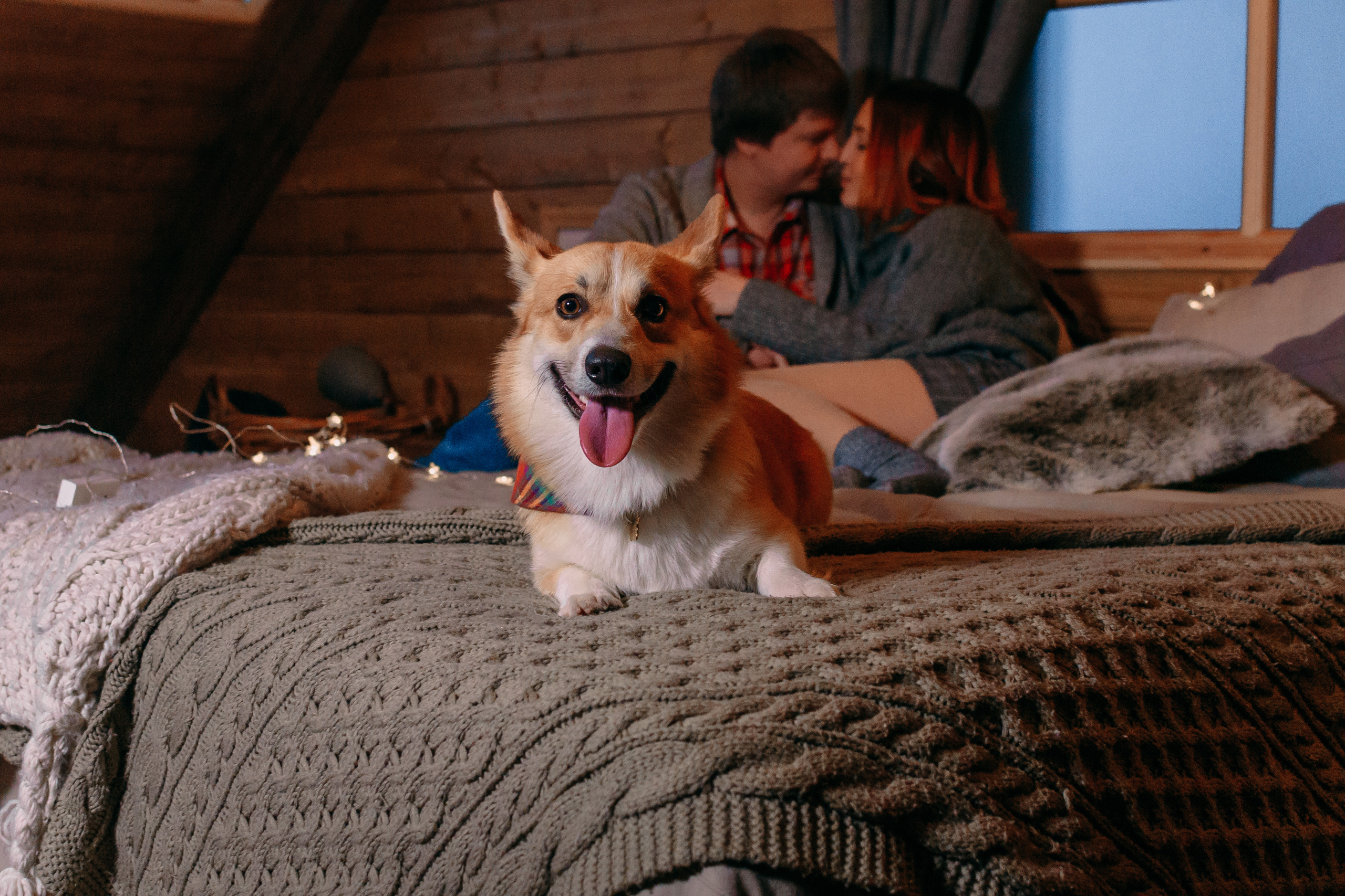 Happy New Year 2020. Свадебный и семейный фотограф в Москве Юлия Шикалова