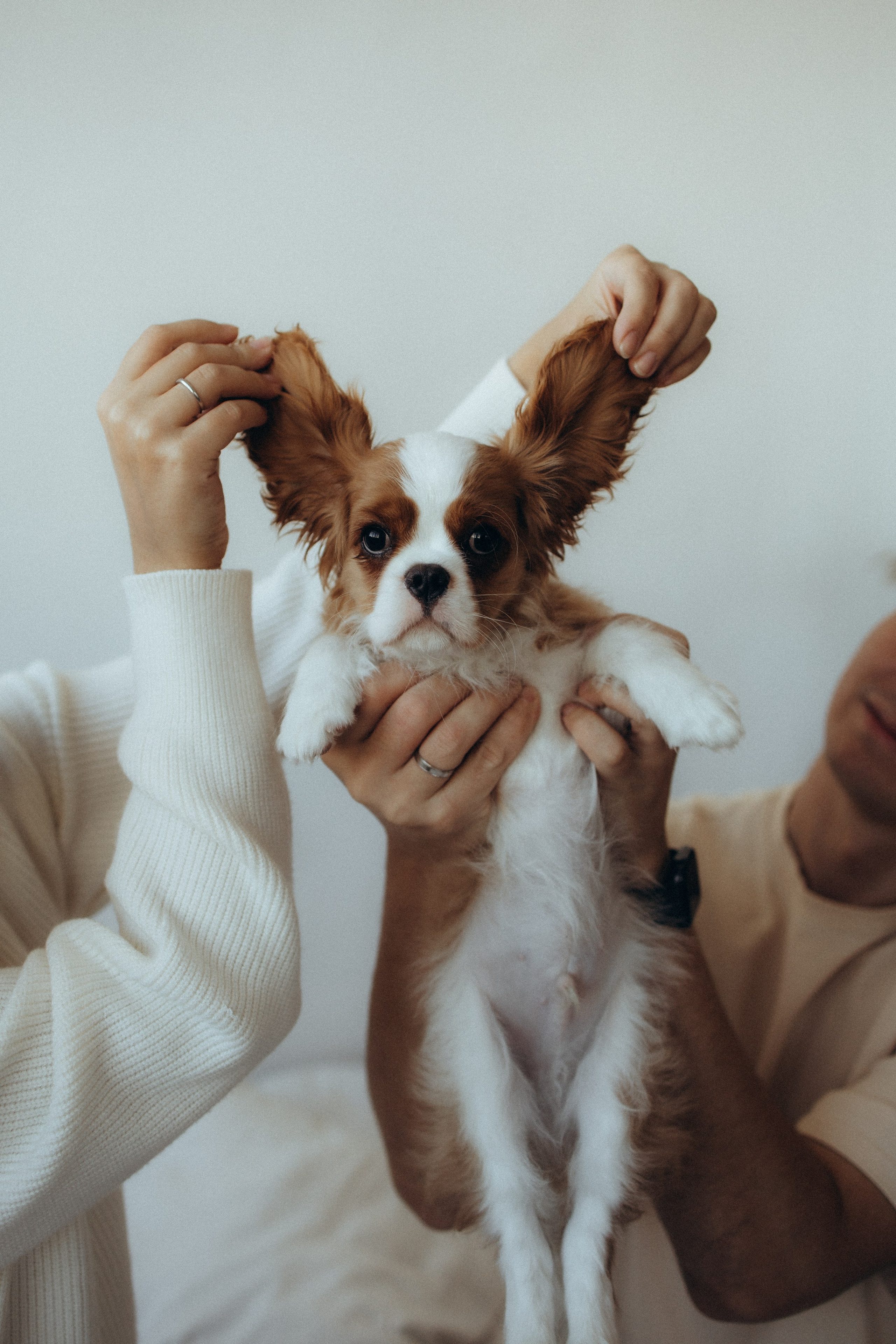 Ришат, Айгуль и пушистый малыш Йоко. Фотограф из Казани Мария Шамсутдинова