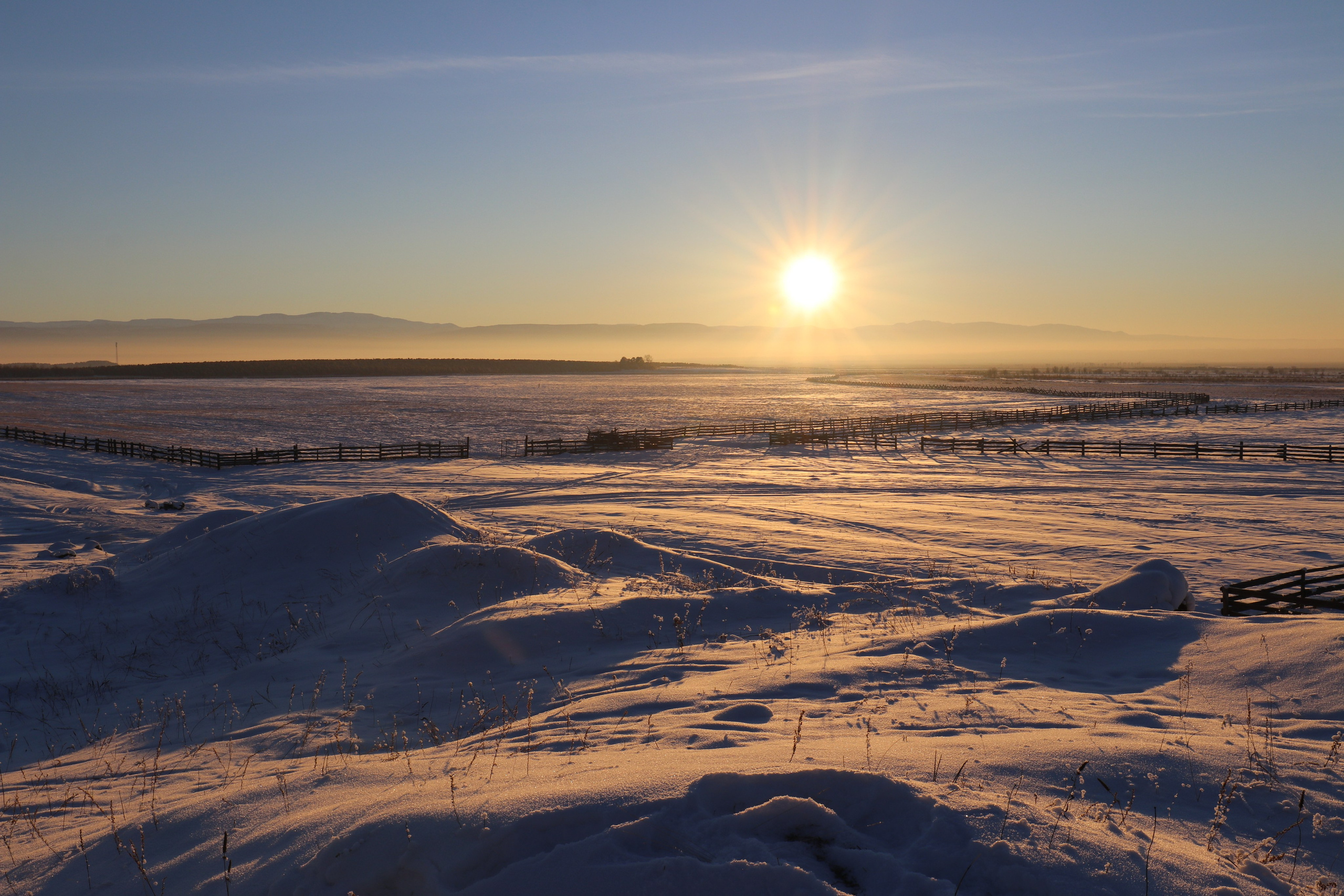 Аршан. Январь 2022. Путешественник-фотограф из Санкт-Петербурга Татьяна Свистулина