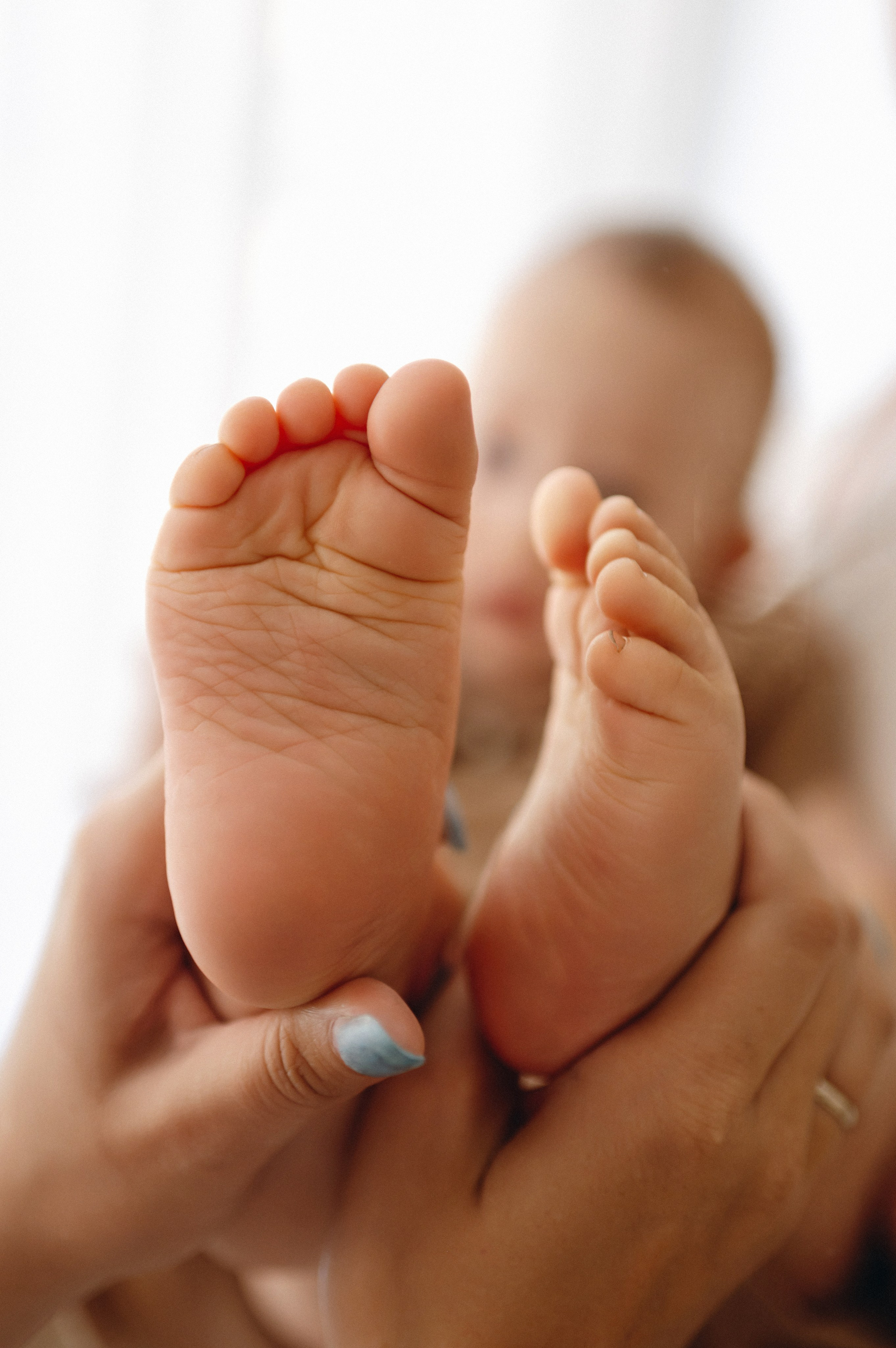 Анжелика Вадим Герман. Главная