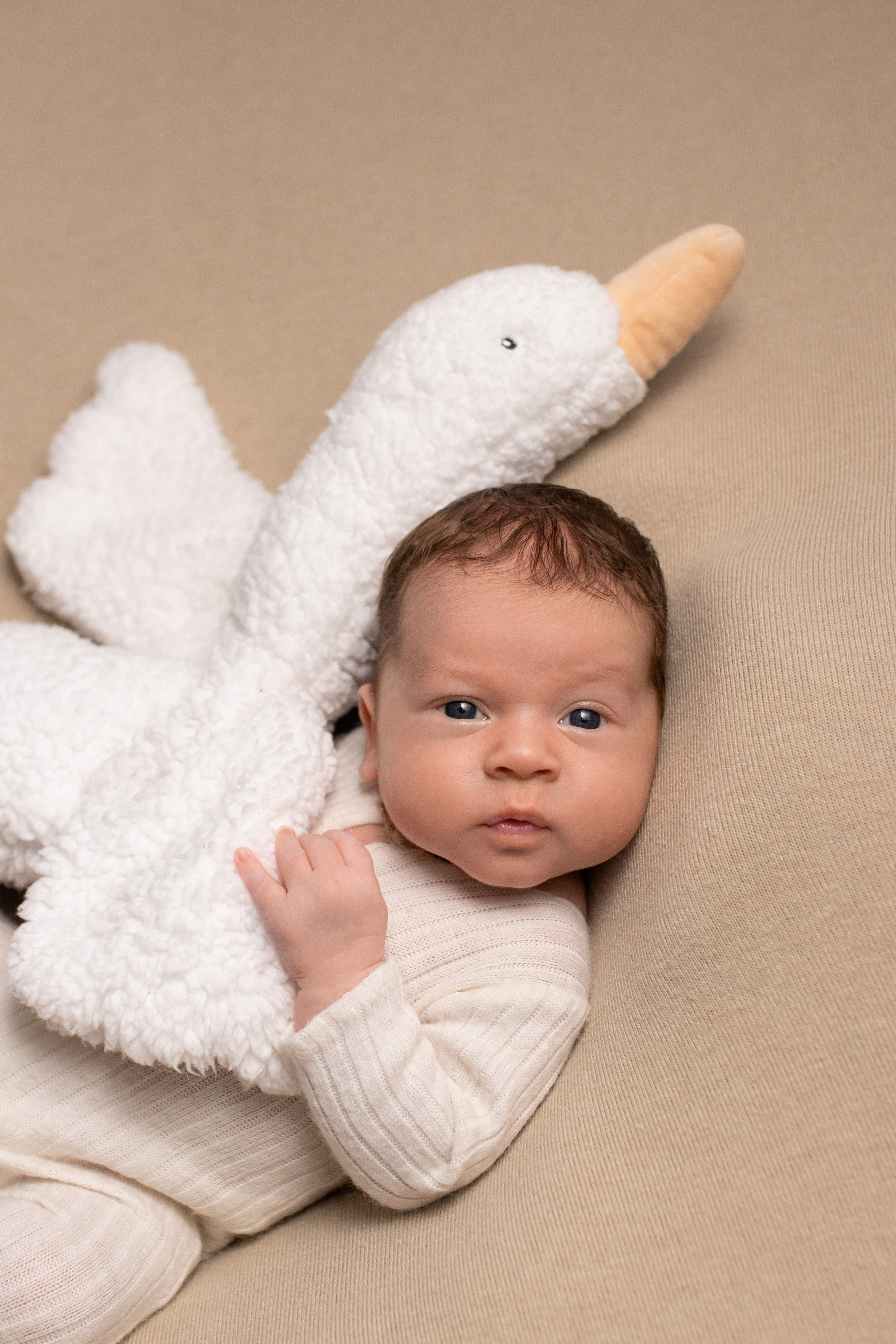 Портфолио. Фотограф новорождённых Волгоград | Волжский — Наталья Самсонова