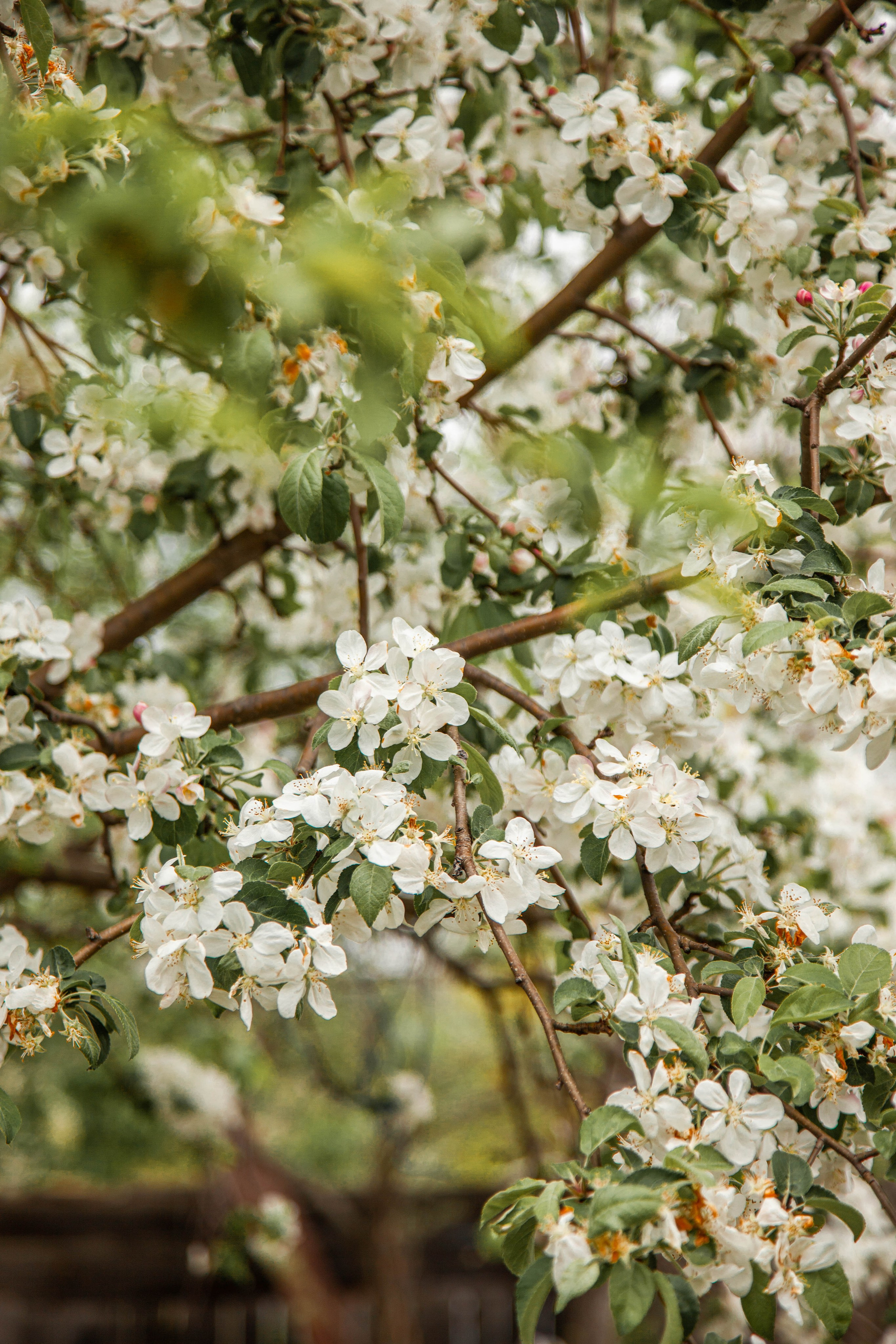 Фотосессия Екатерины «В ожидании»