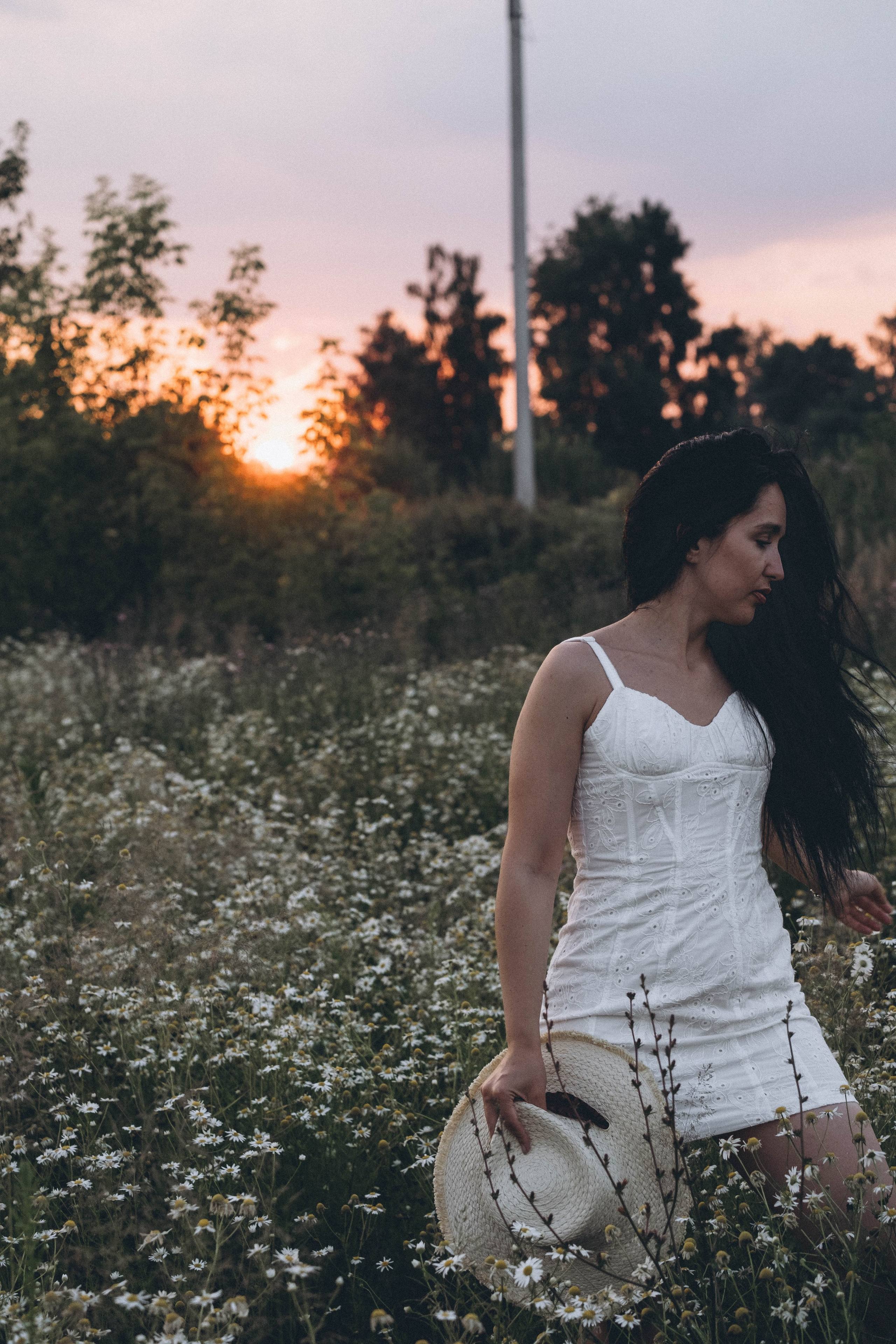Ромашковое поле. Профессиональный фотограф, Санкт-Петербург — Виктория Богомолова