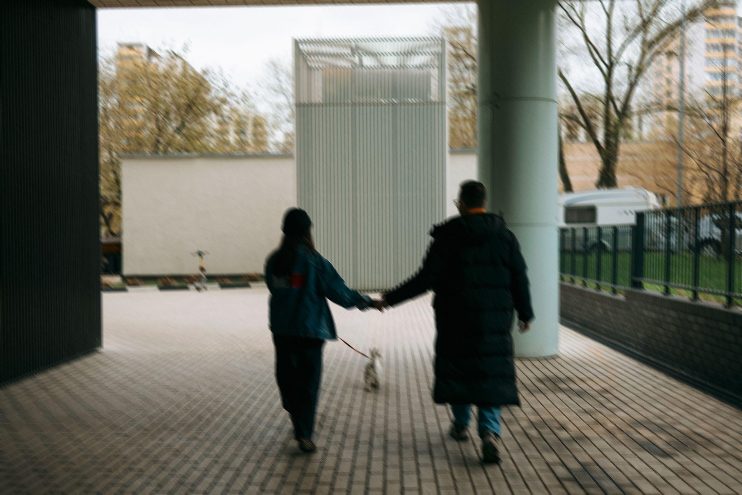 Снежуля, Мари и Саша. Фотограф анималист Анастасия Пикей