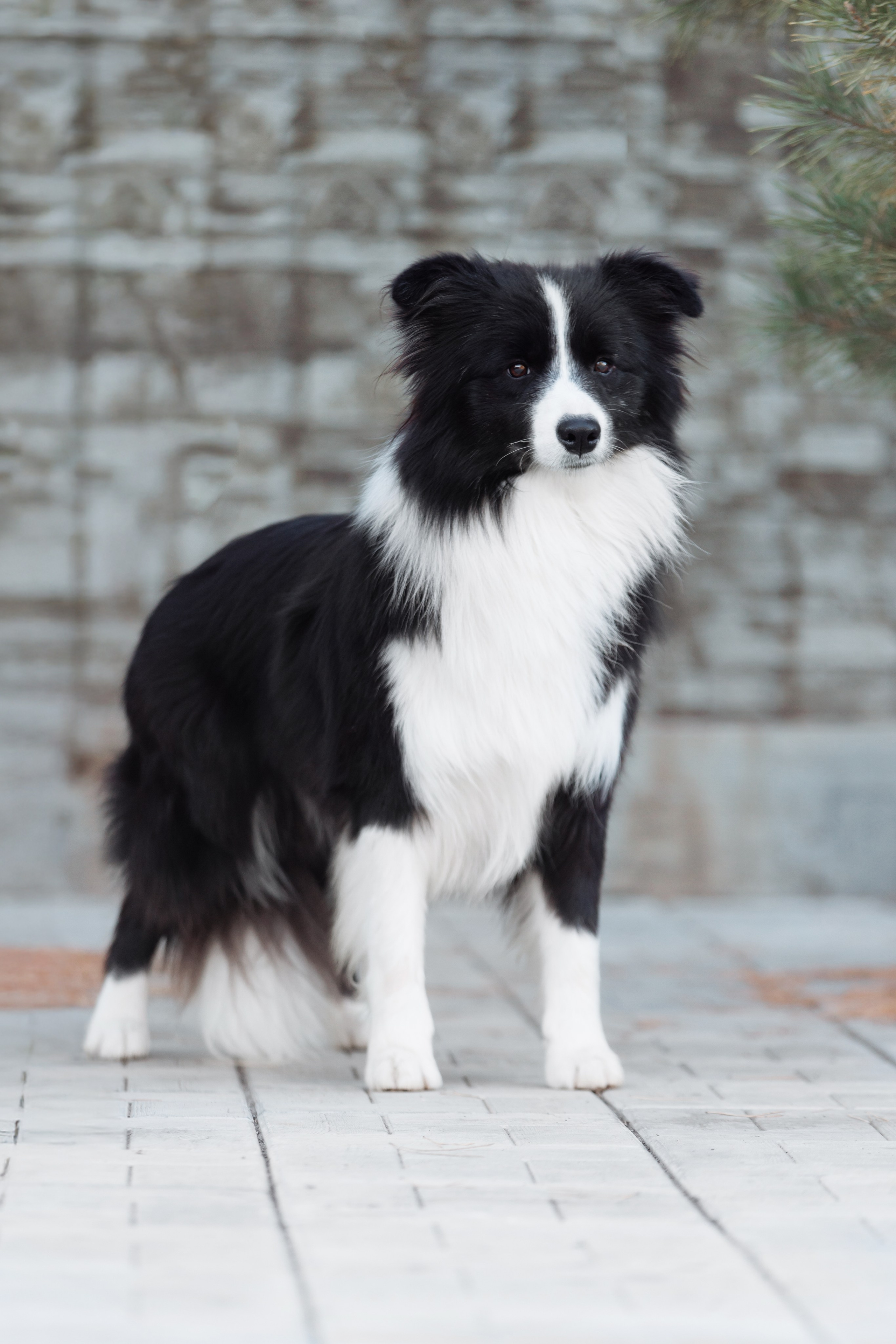 У дома с большой компанией от мала до велика. О нас