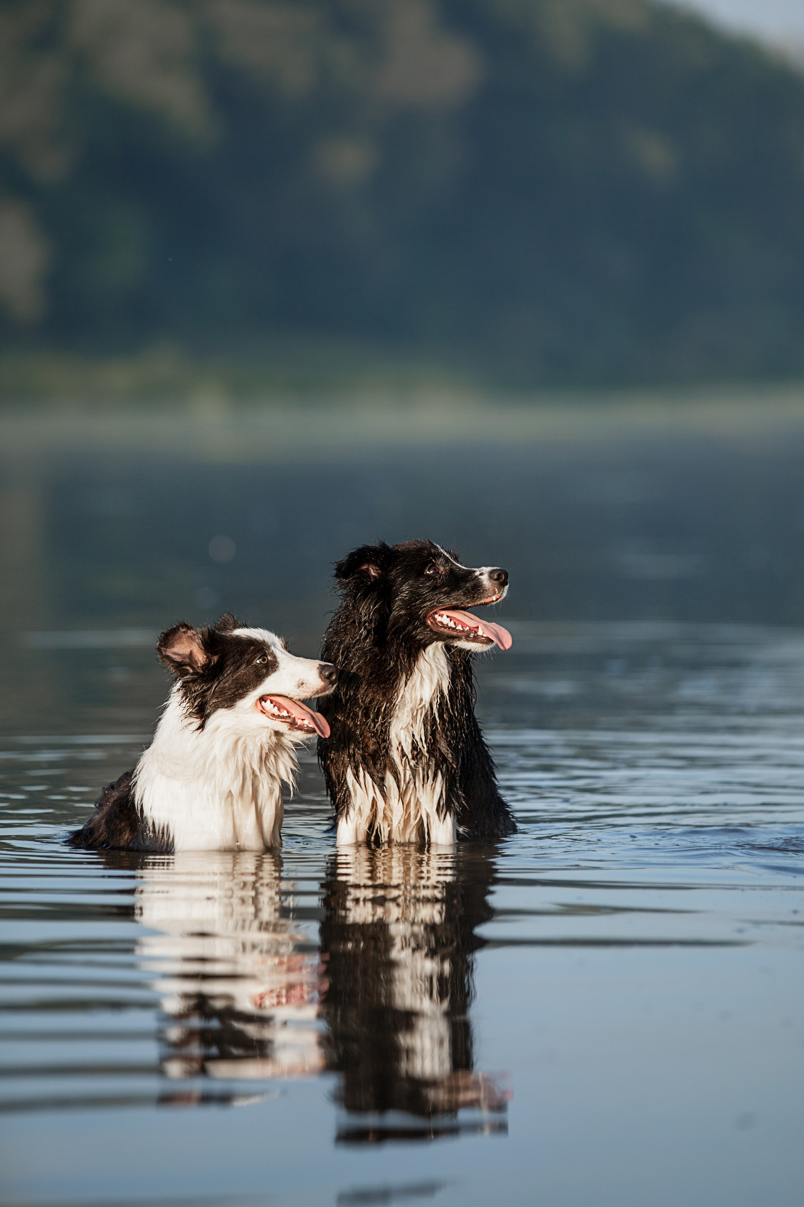 Сочный рассвет, на который решились. О нас