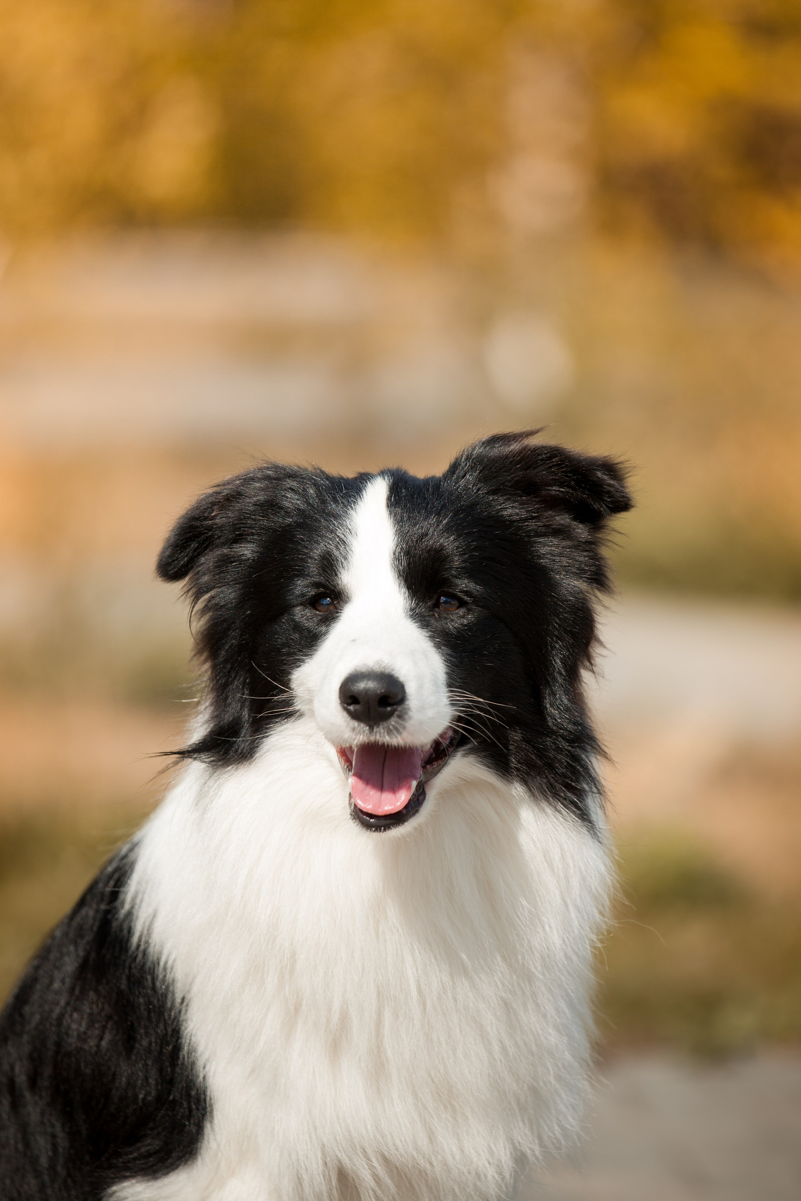 Это было в Новотроицке, было в 19. О нас