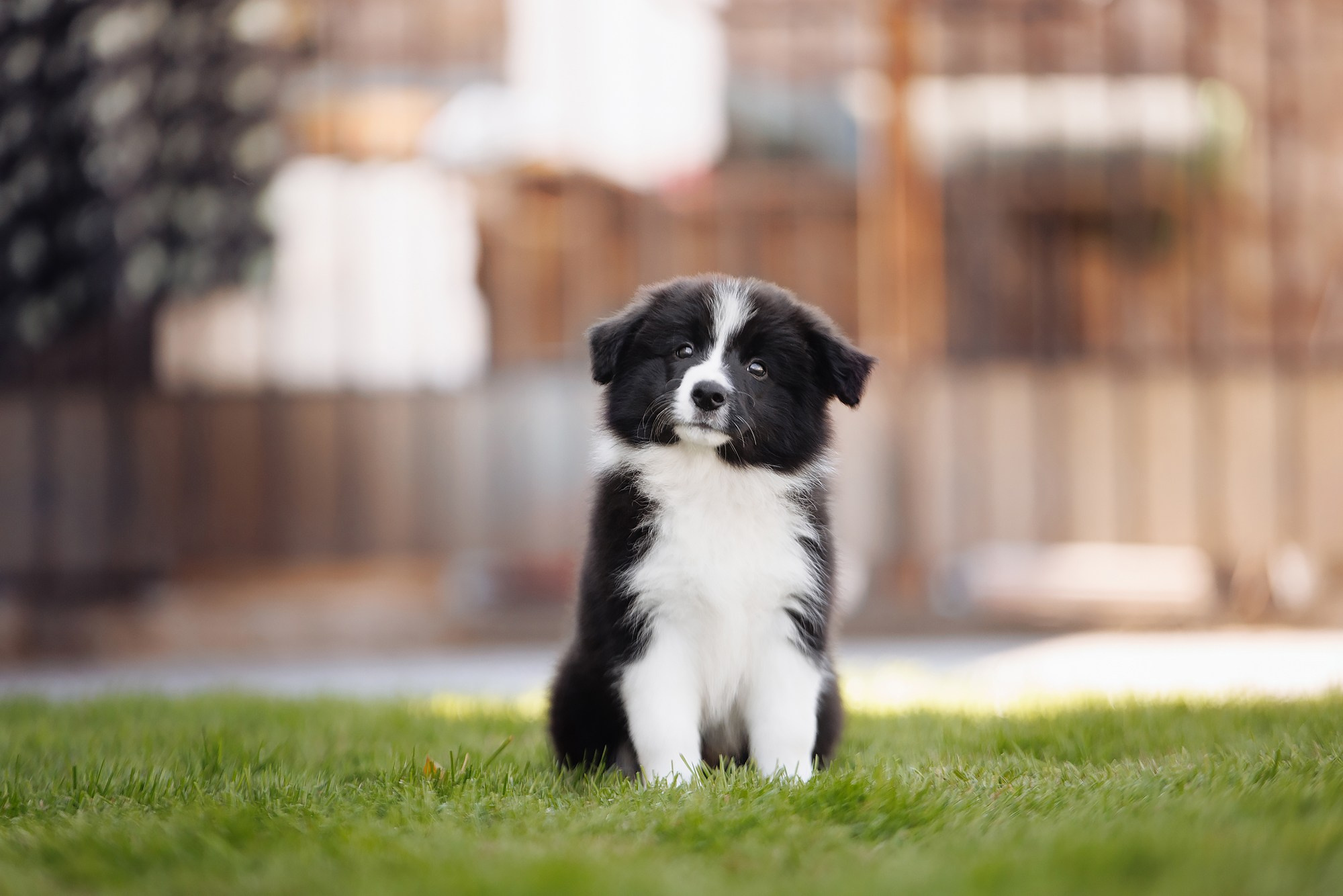 Трава у дома. О нас