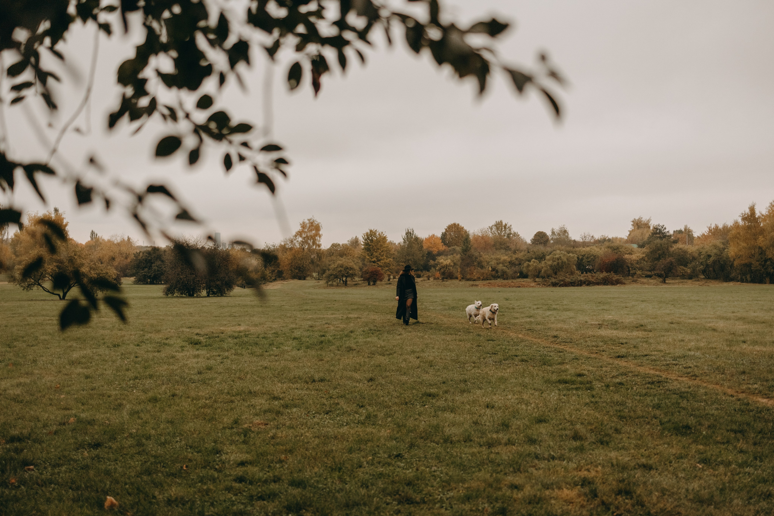 Женя и ее девочки. Фотограф — Анималист | Санкт-Петербург