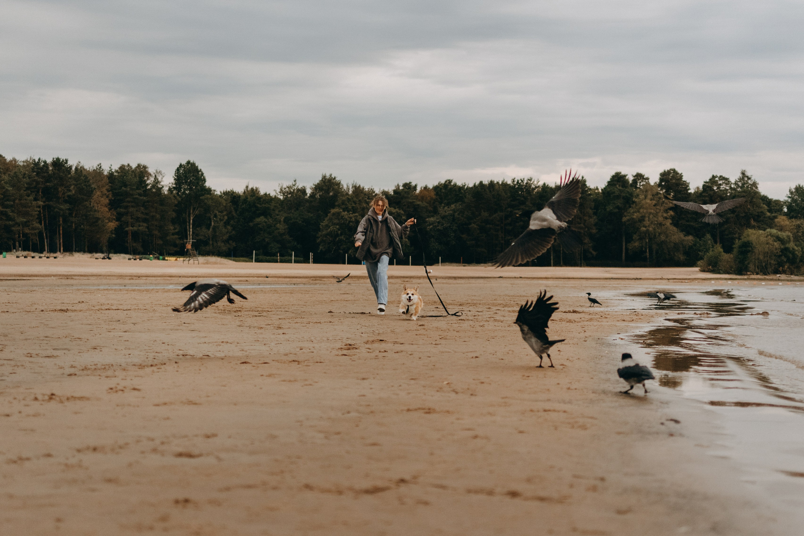 Лиза и Бакс. Фотограф — Анималист | Санкт-Петербург