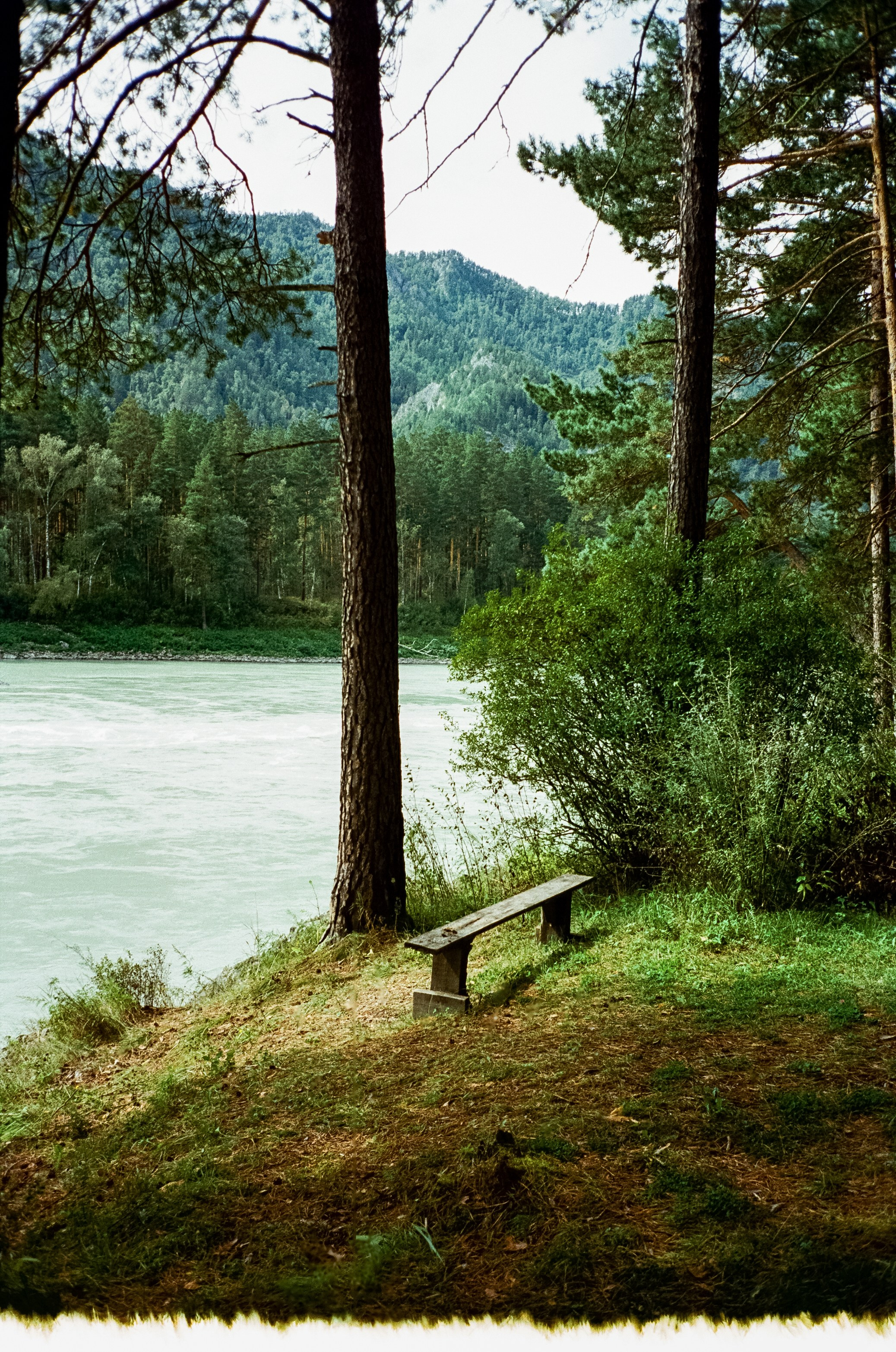 Кедровый остров, Катунь и скалы. Фотограф-документалист Мария Осокина