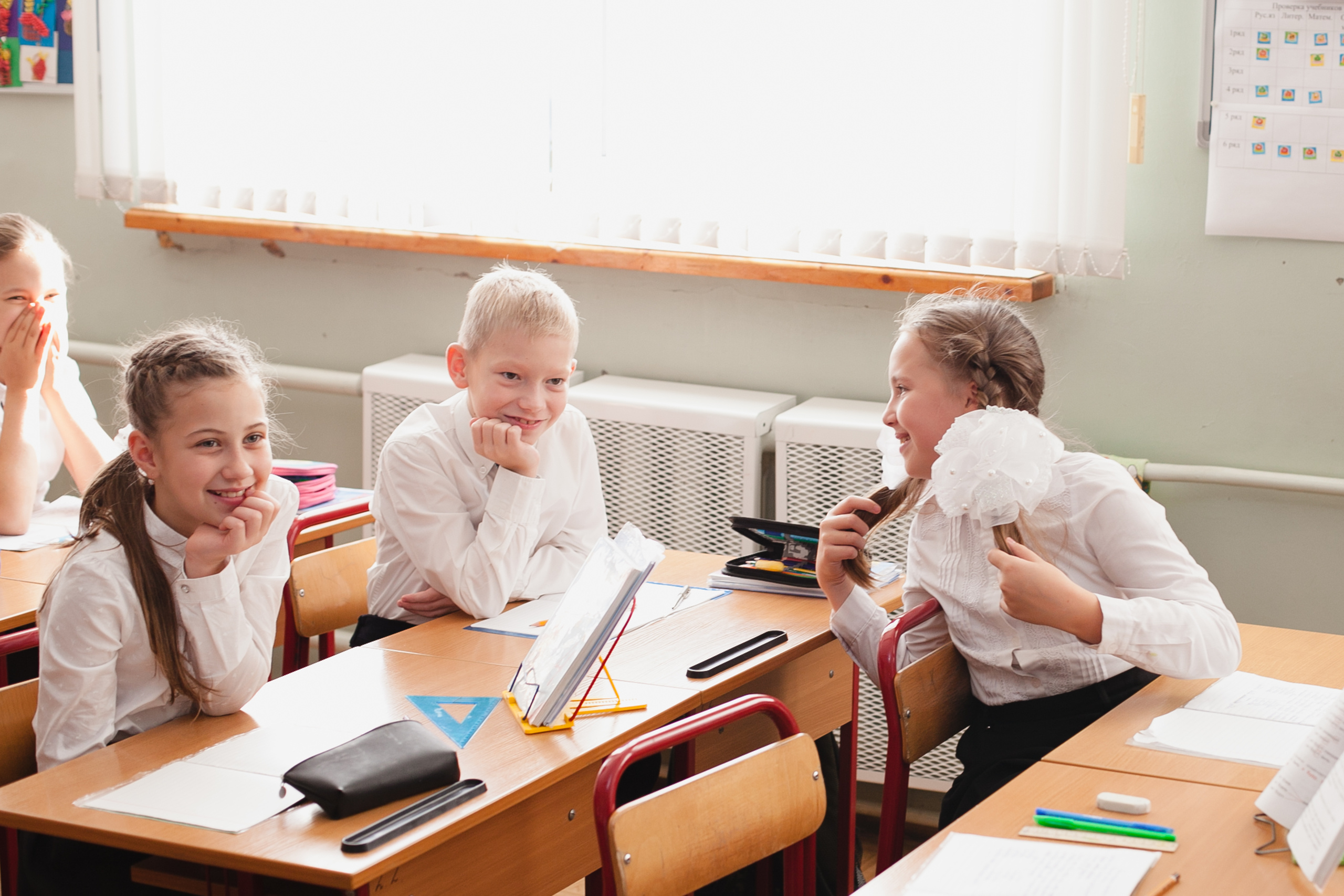 групповое фото, школьная фотография, выпускник, школьник, школа, выпускной класс, начальная школа, школьные друзья, осень, осенняя фотосессия,  1 сентября, уроки, одноклассники