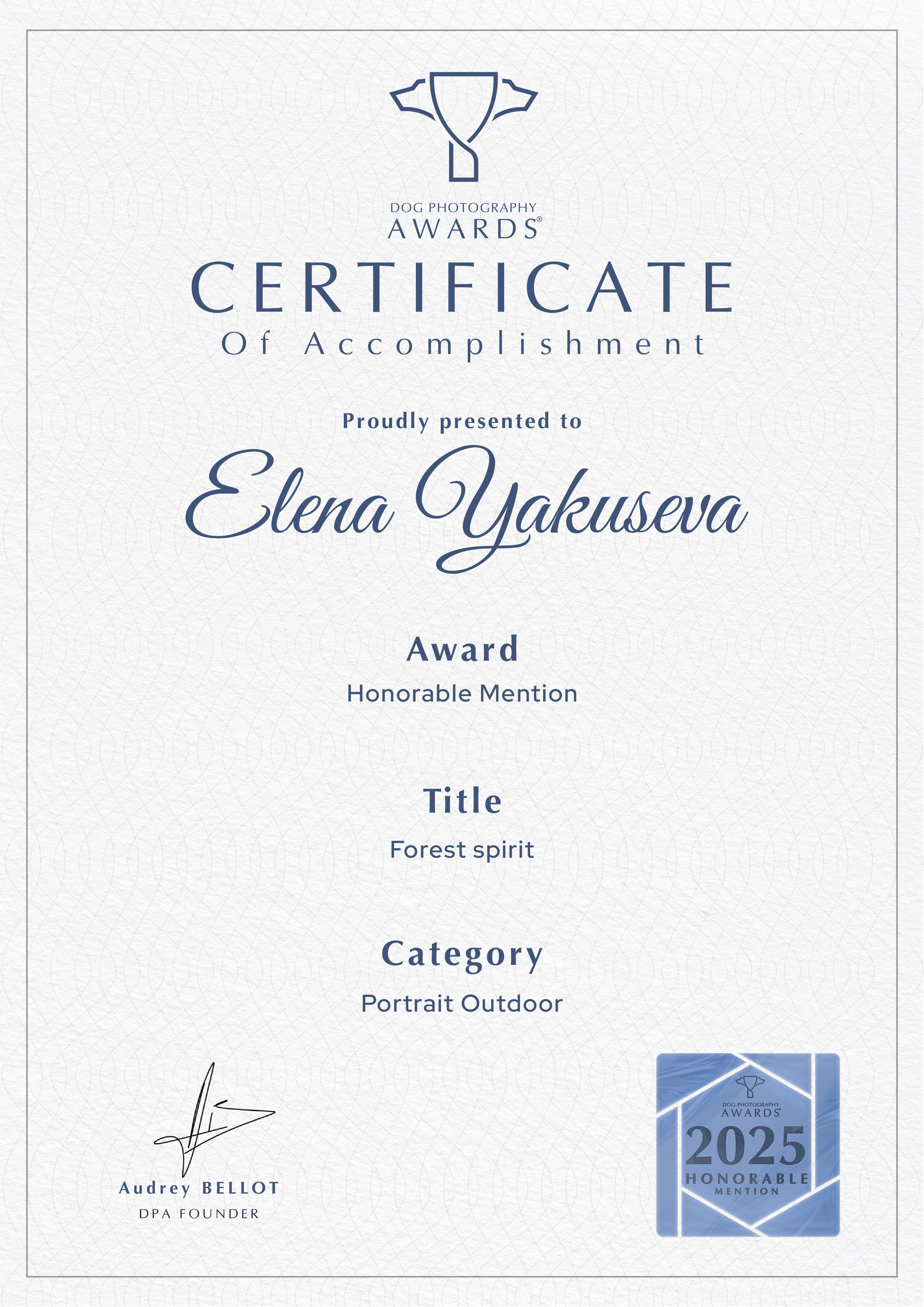 Дипломы & AWARDS. -