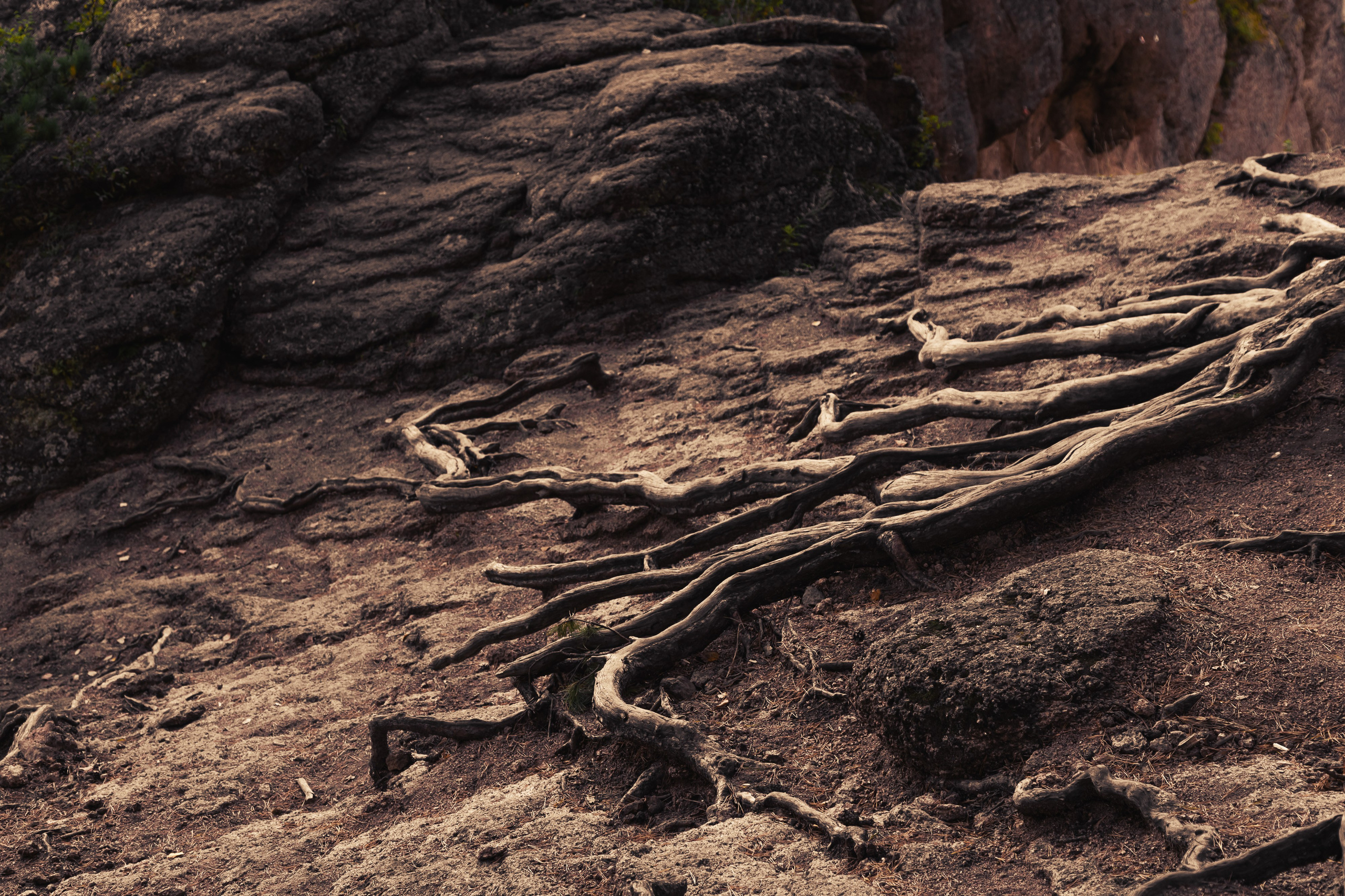 Ольга ~ Дар рода. НАСТИН ВЕТЕР — фотографии о тебе Анастасия Карнаухова — фотограф твоей личности