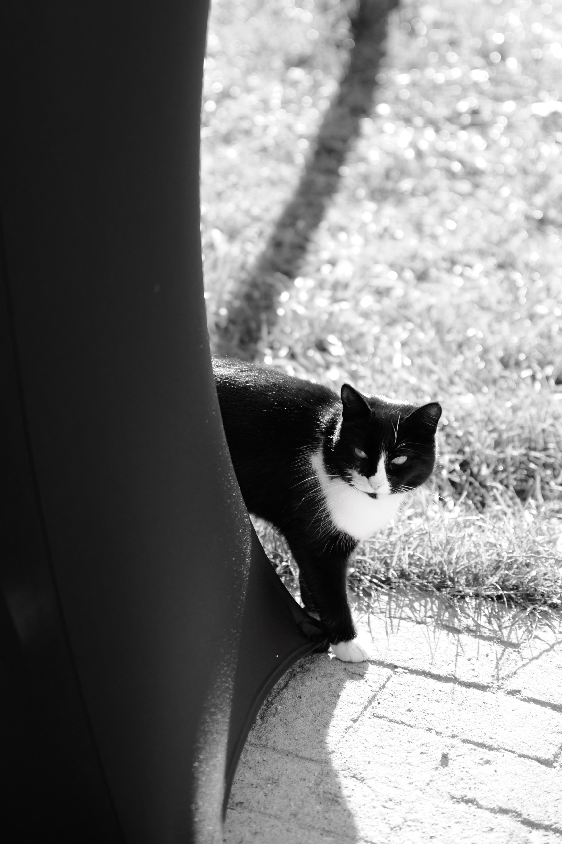 Манхэттен. Свадебный фотограф в Москве Владимир Симонов