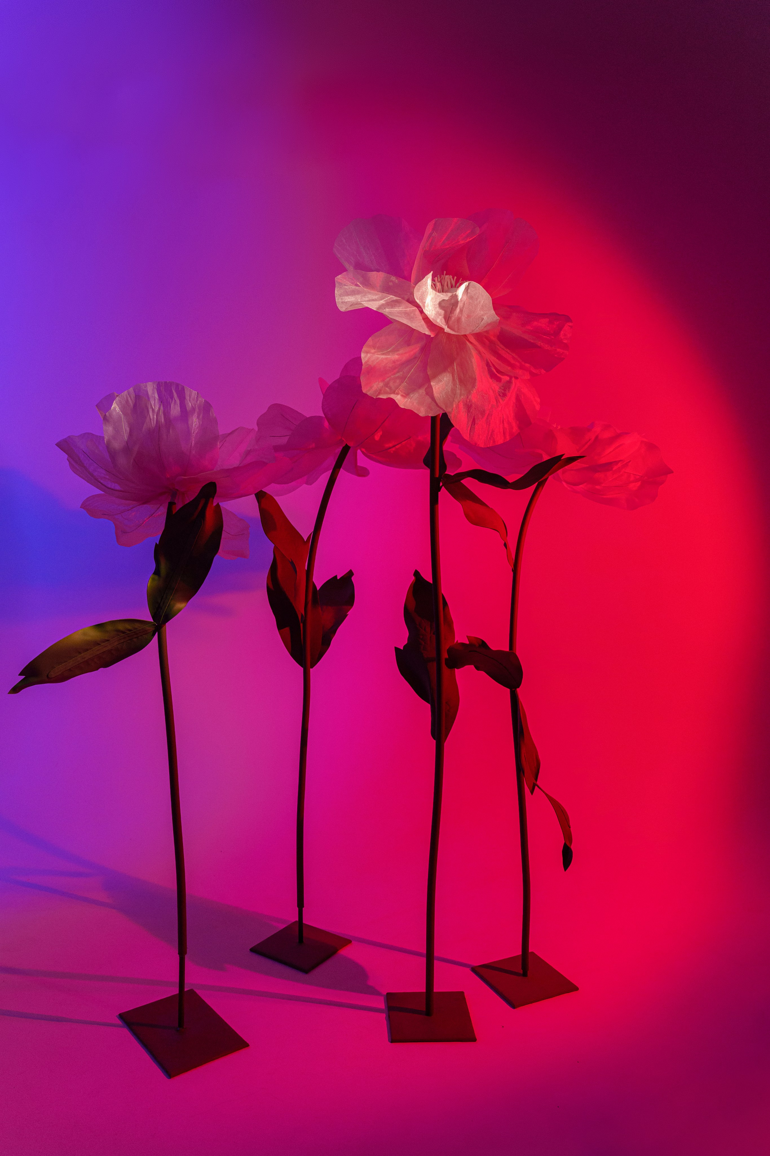 Арт фотосессии в студии