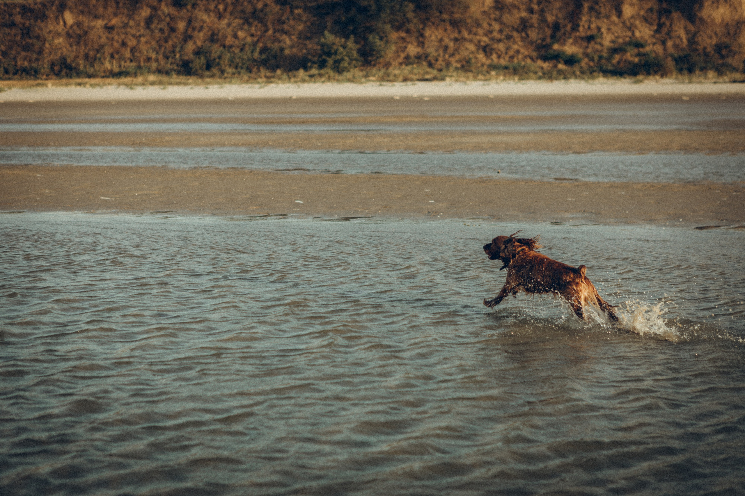 Family moment 💫. Семейный фотограф и фотограф на роды в Ростове-на-Дону Мухина Виктория