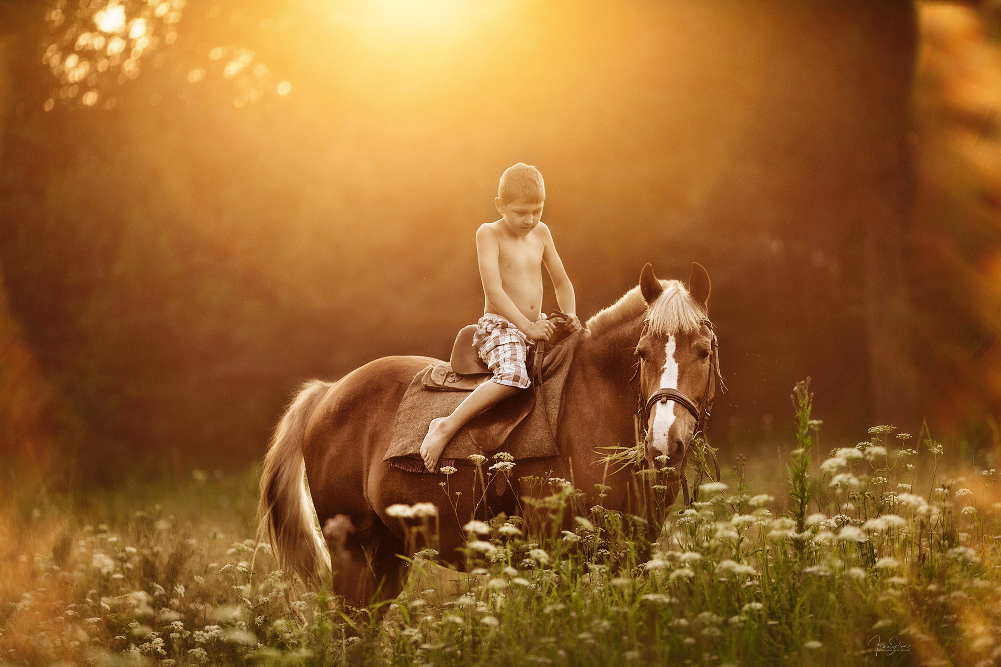 Детский и семейный фотограф в Екатеринбурге