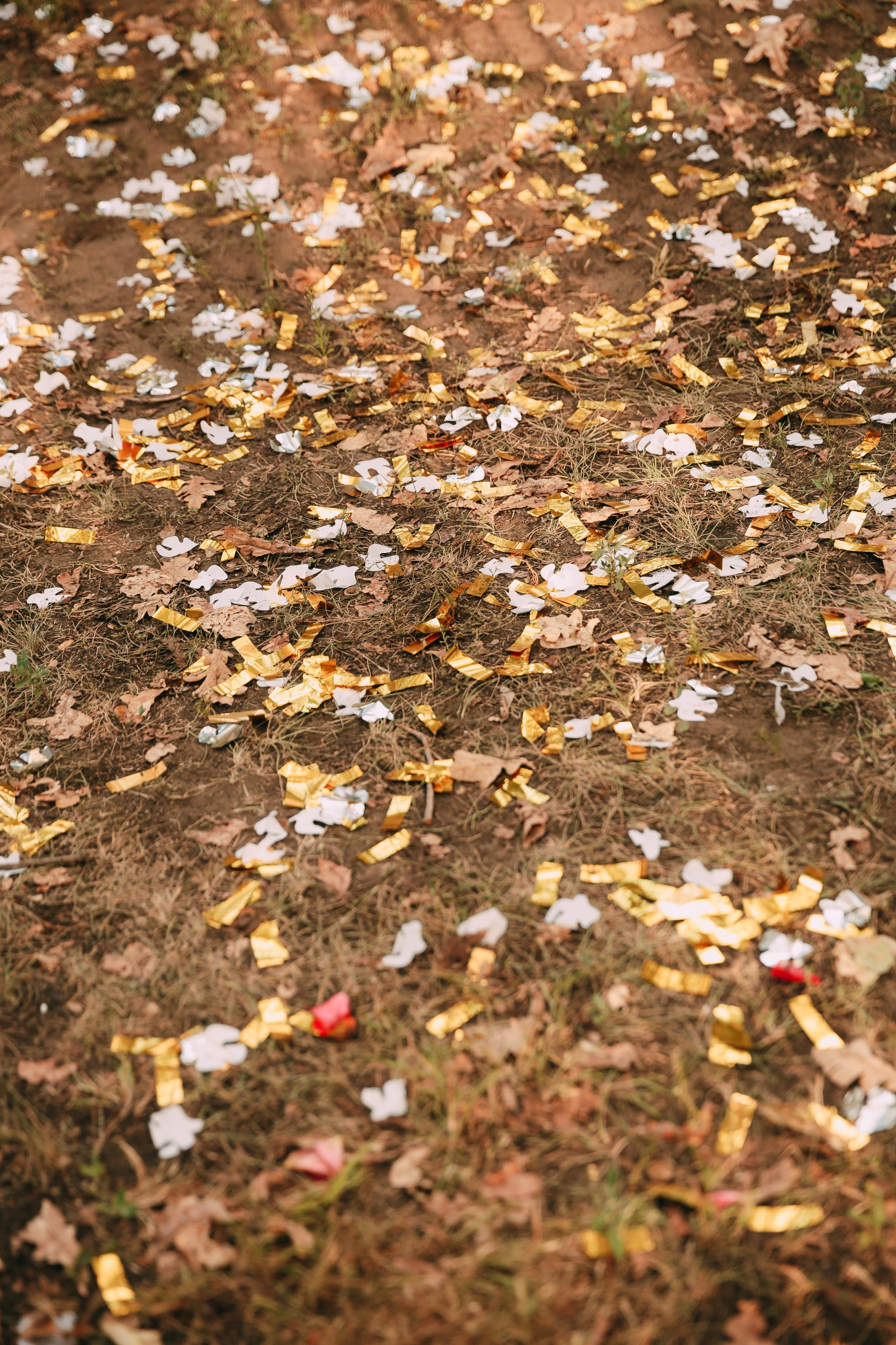 Галина и Игорь. Катерина Макиева