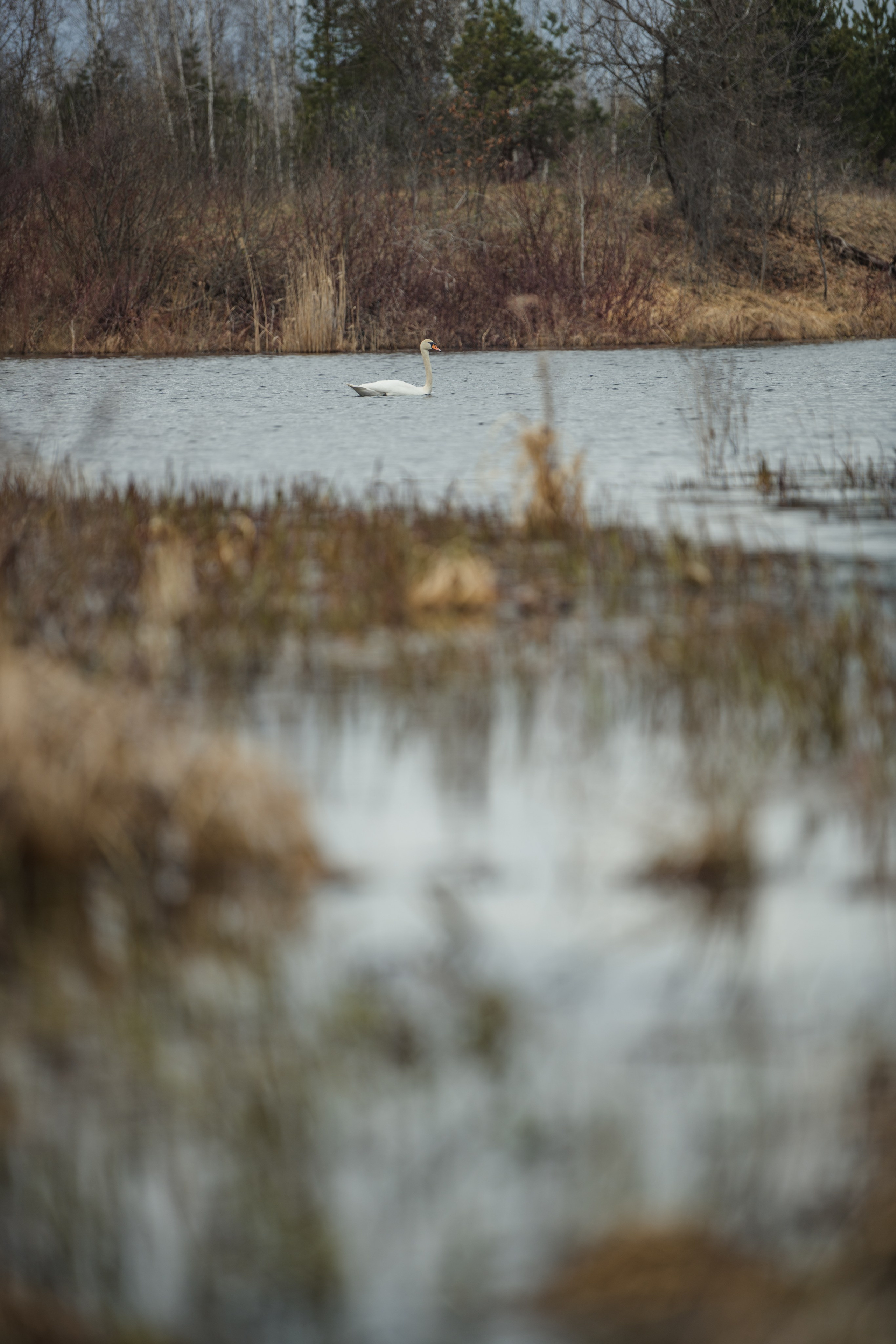 Разведка нового маршрута. Репортажный фотограф Владимир Беляй