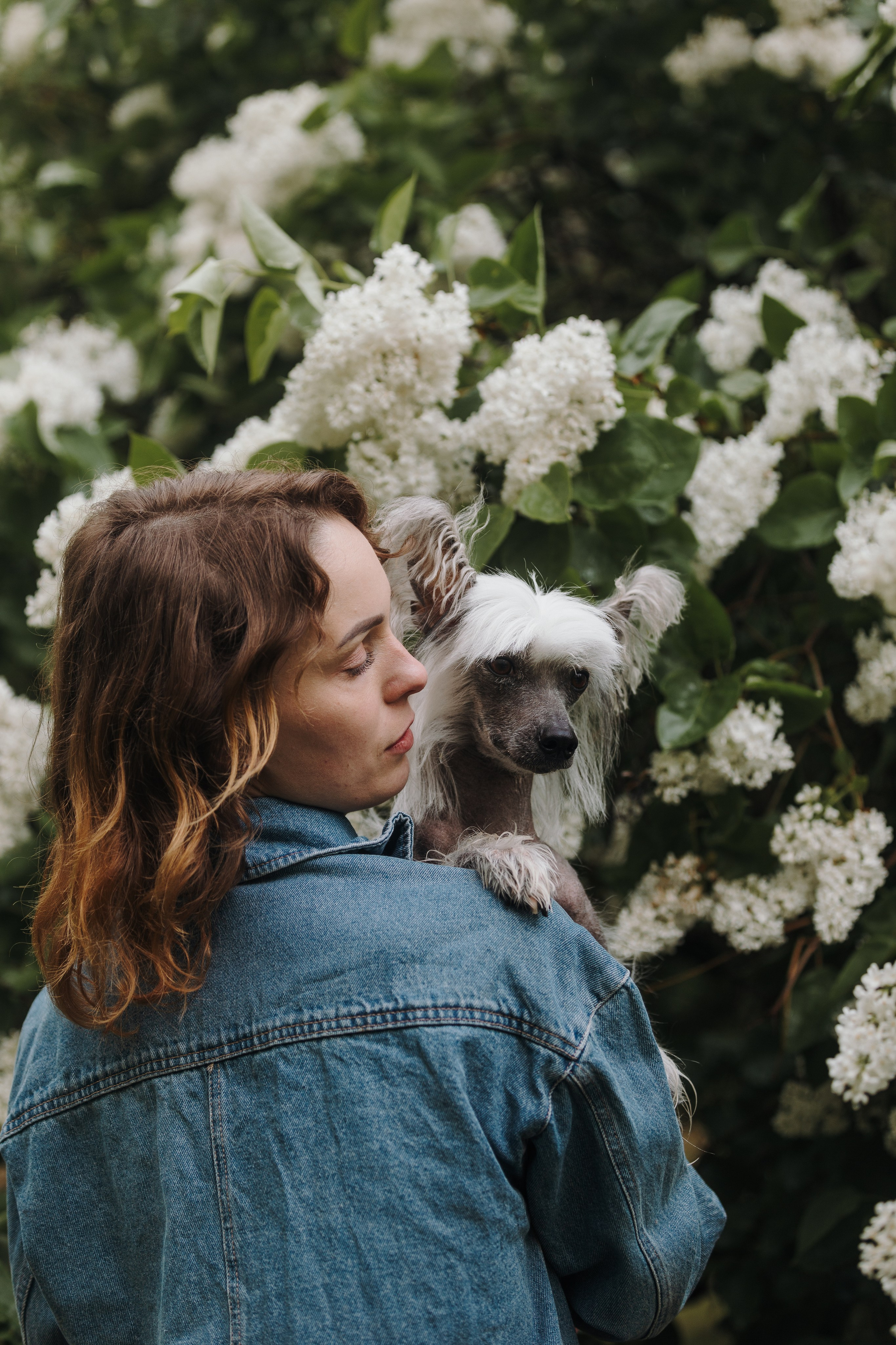 Лили, Уся, Вика и их семья. Фотограф анималист Кристина Карпова, Москва