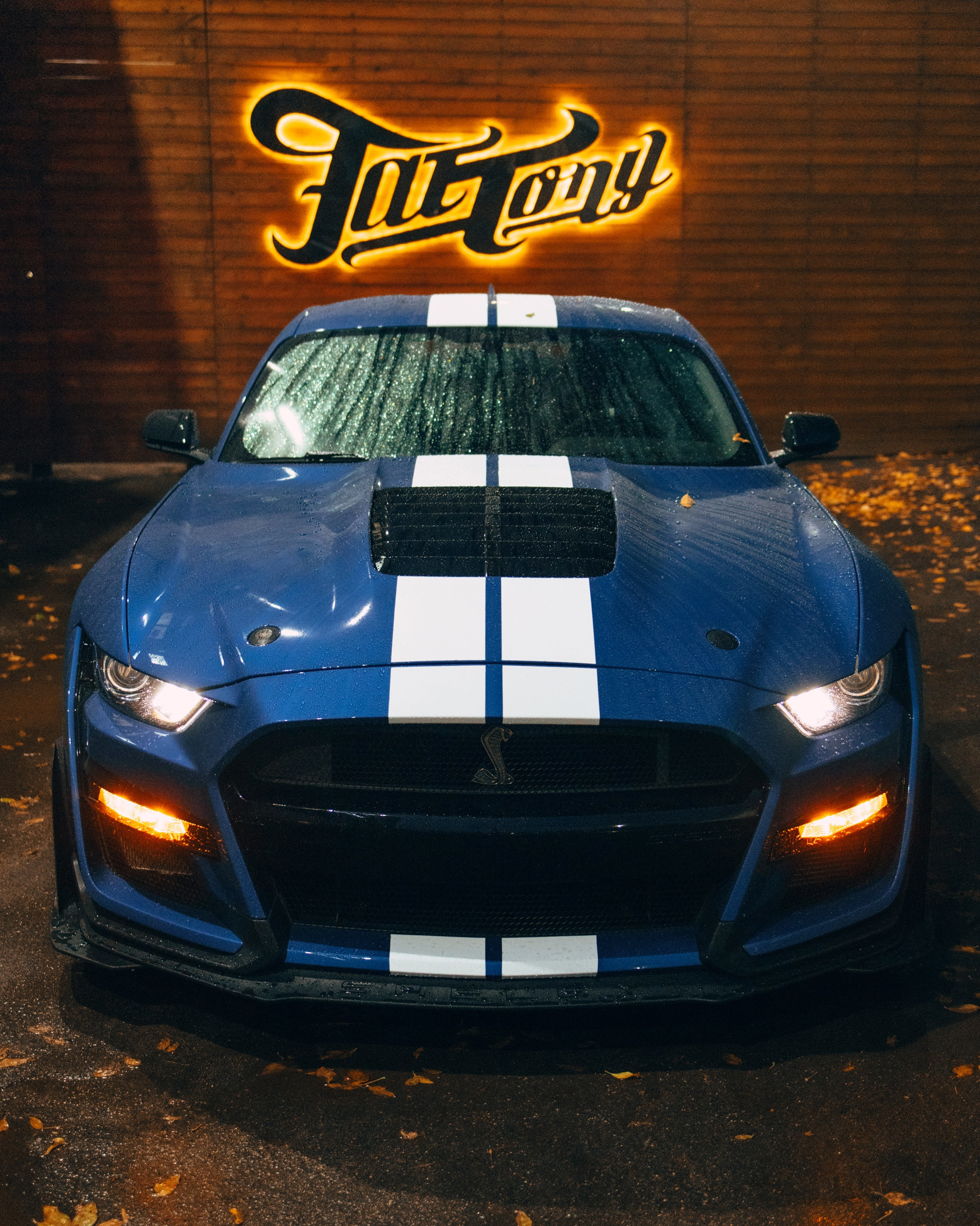 Ford Mustang GT500. DeLorein
