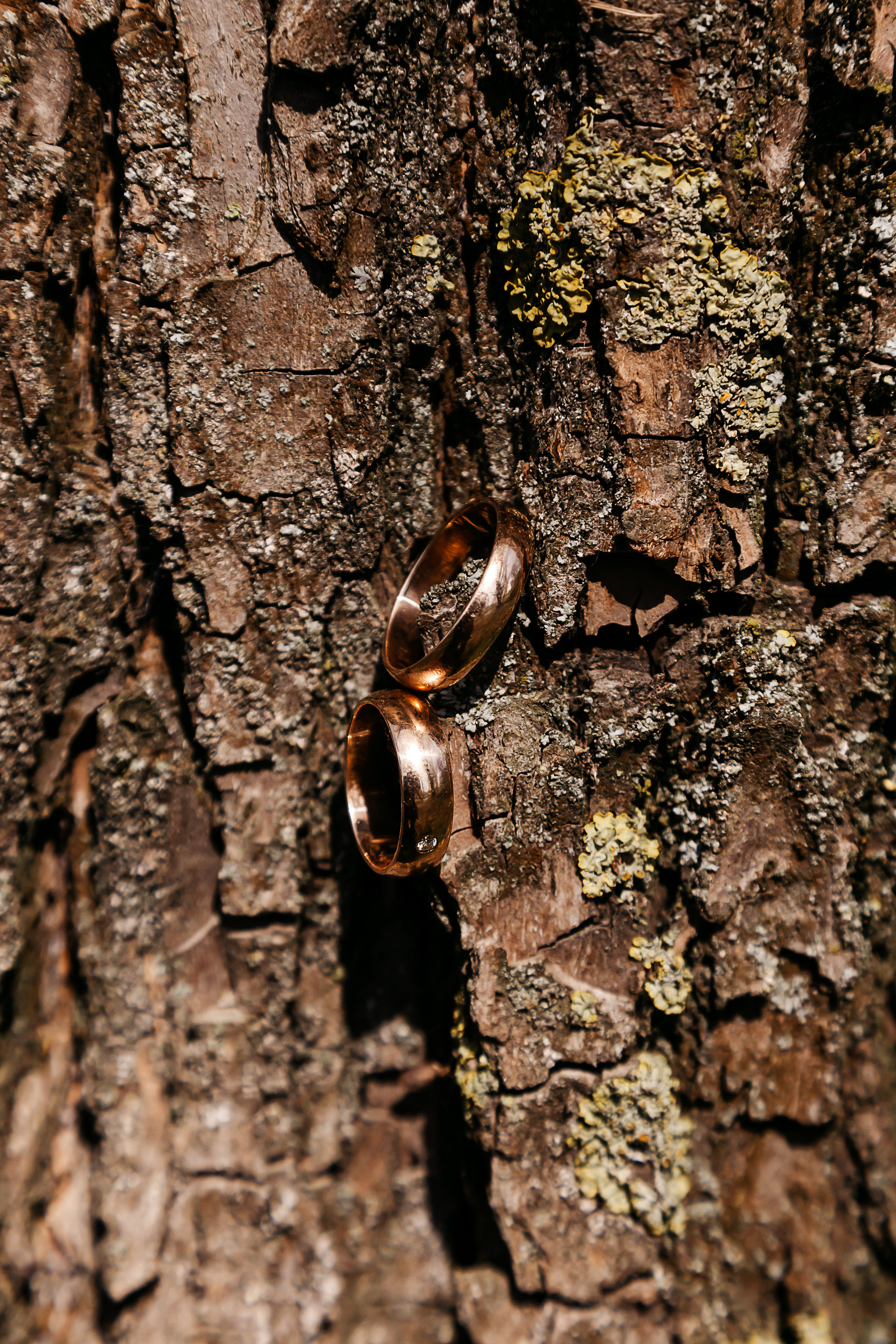 Свадьбы. Свадебный фотограф